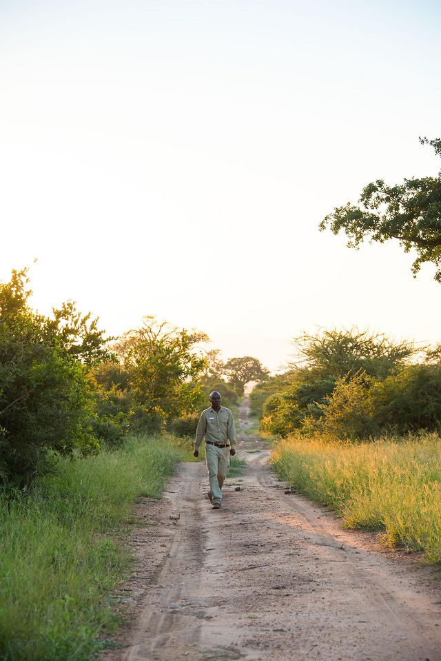 Thornybush
