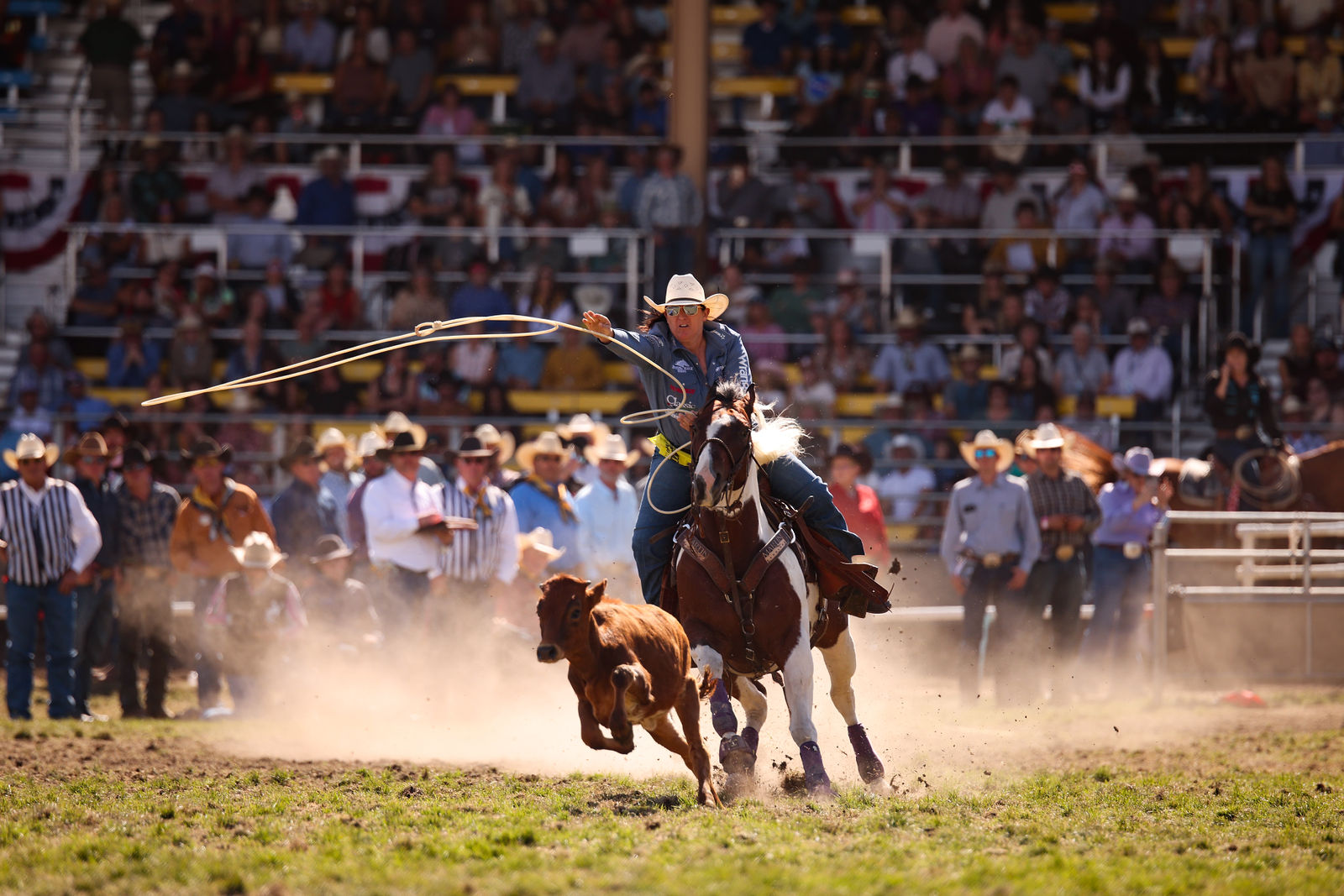 Rodeo Life Options by Roseanna Sales Photography