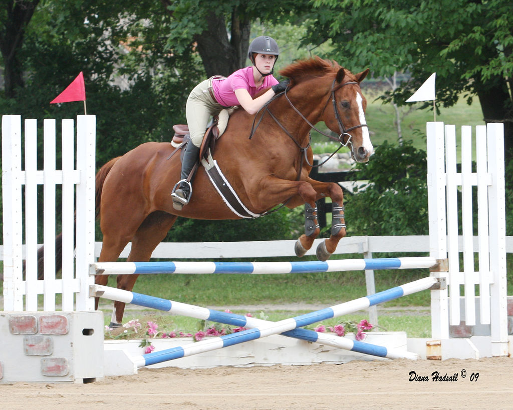 KFARMSWINAGIN by Diana Hadsall Photography