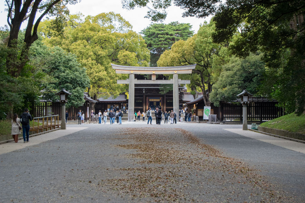 Torii gate at the end of a tree-lined path to Meiji Shrine, Tokyo