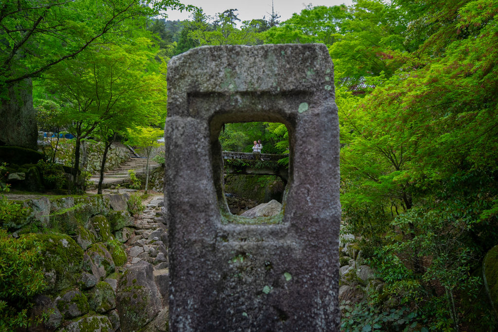 A moss-covered stone lantern in the forest, Miyajima