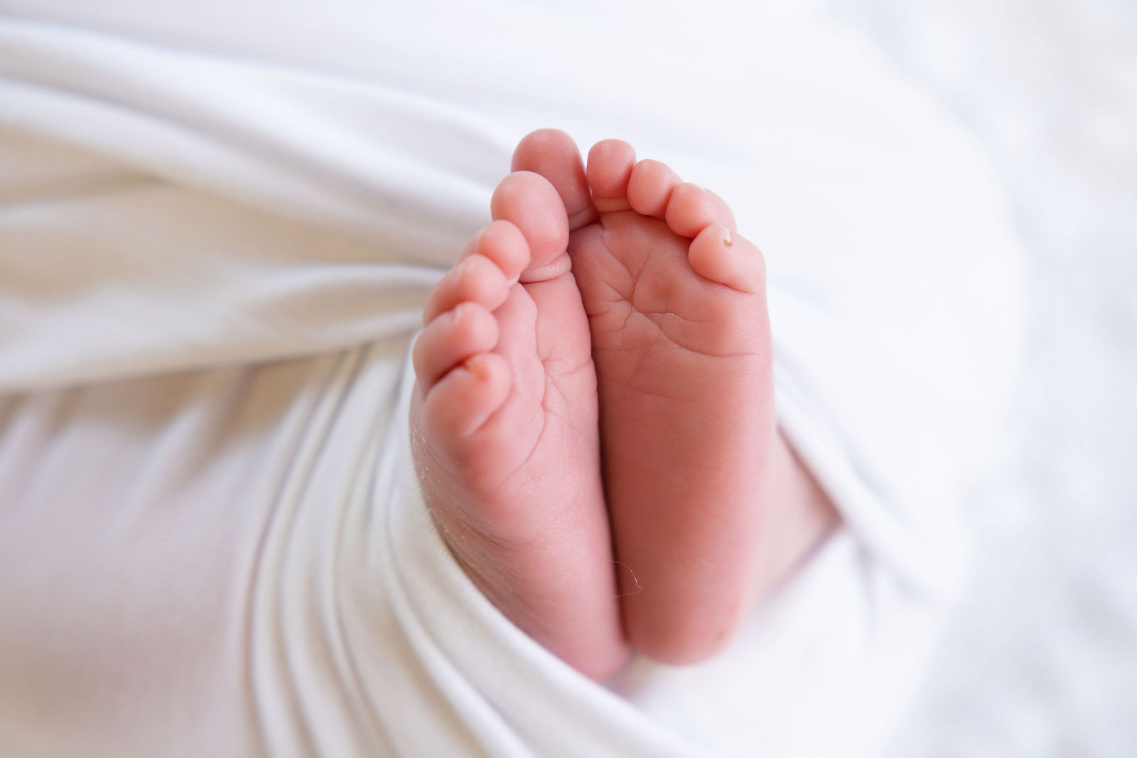Close-up photograph of a newborn baby's tiny feet wrapped in soft white fabric
