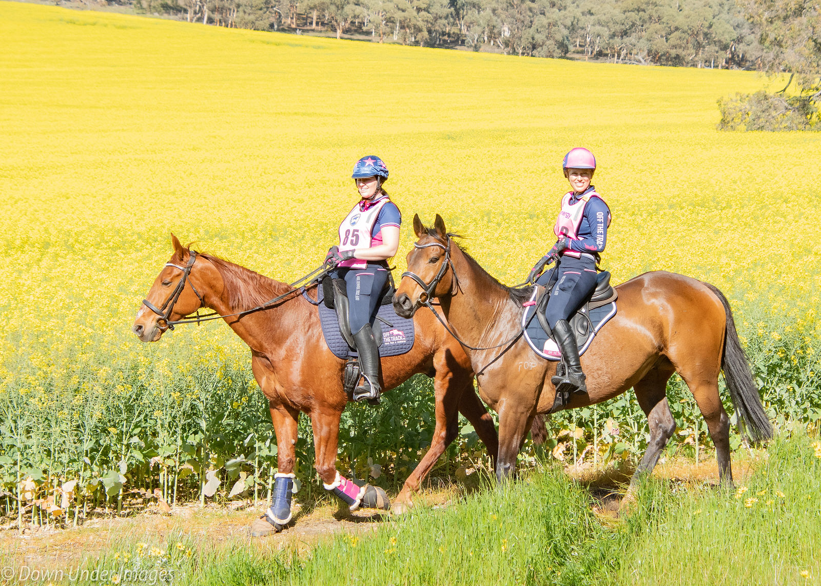 WERI Bakers Hill Ride by Down Under Images