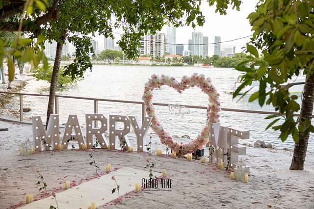 Alexander's Proposal