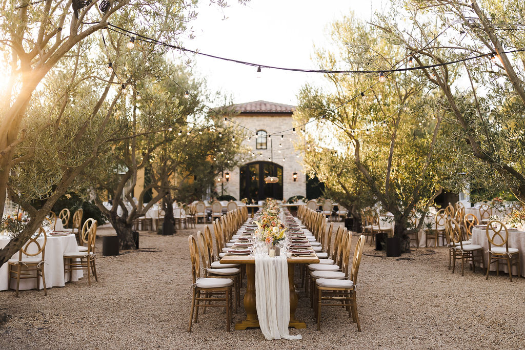 Sonoma County wedding photographer real wedding stories