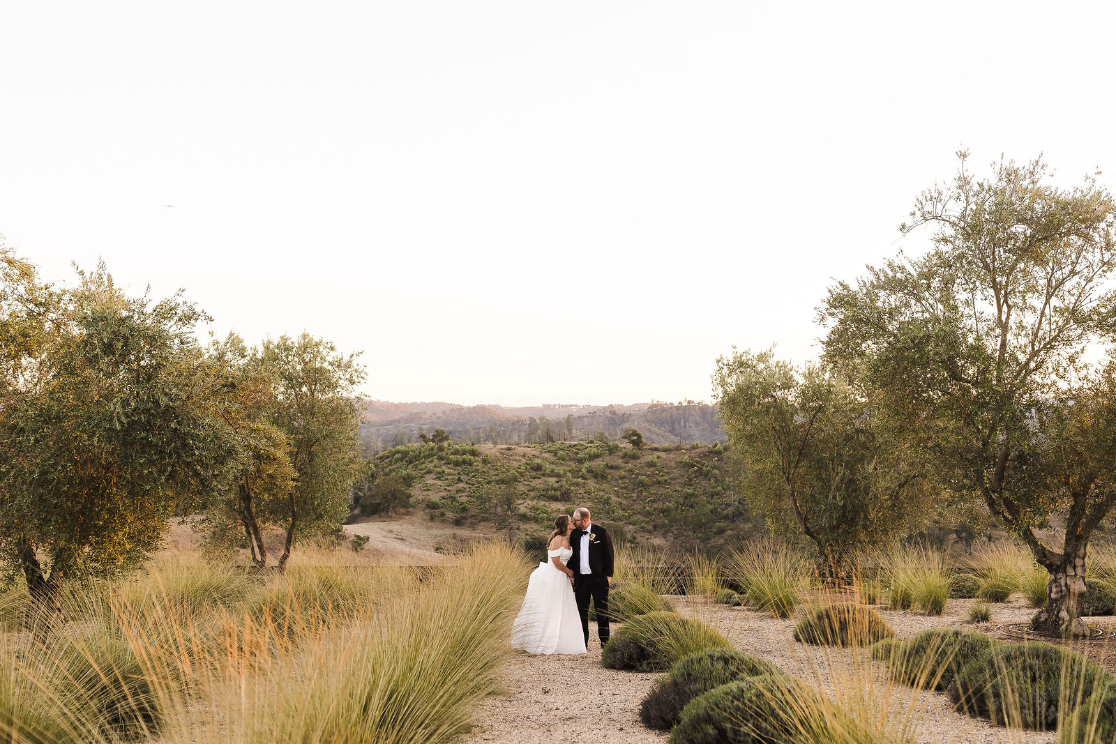 Bride and groom on the oak studded hillside at a Montage Healdsburg wedding in Sonoma County