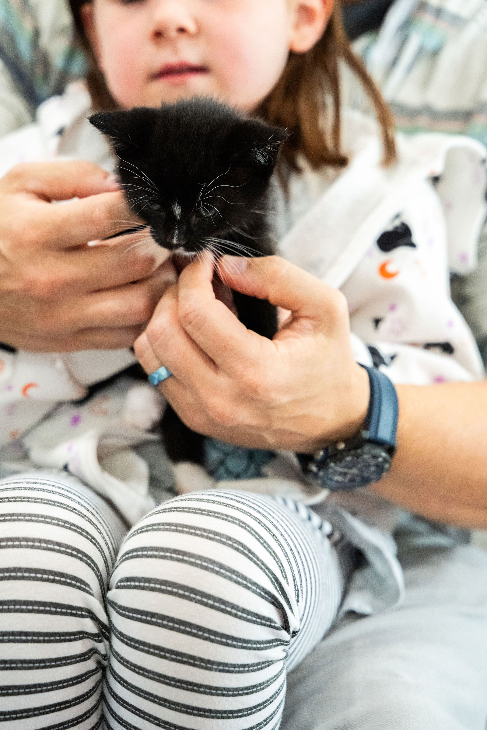 Tips & Tails TNR Adoption Event 45