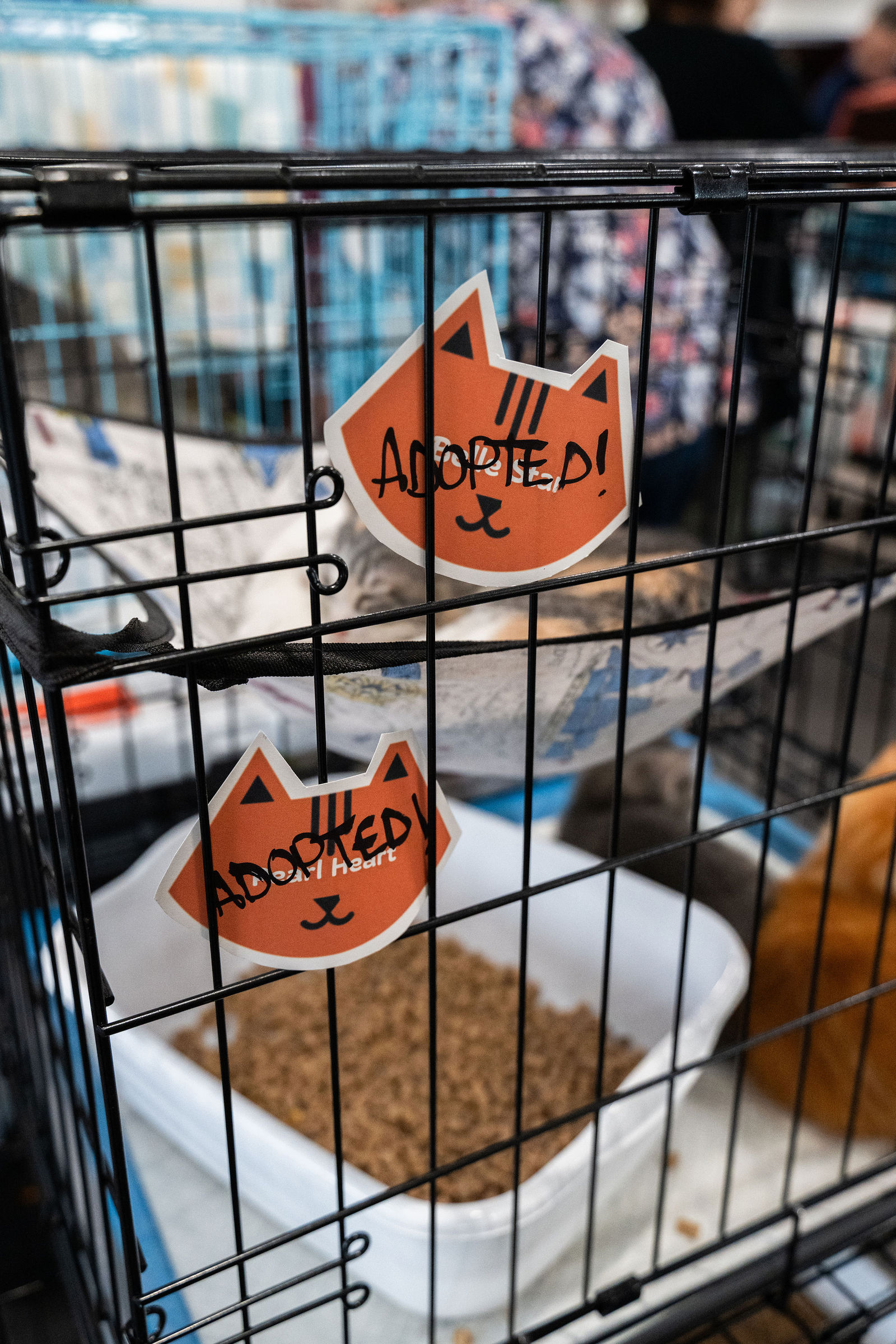 Tips & Tails TNR Adoption Event 4