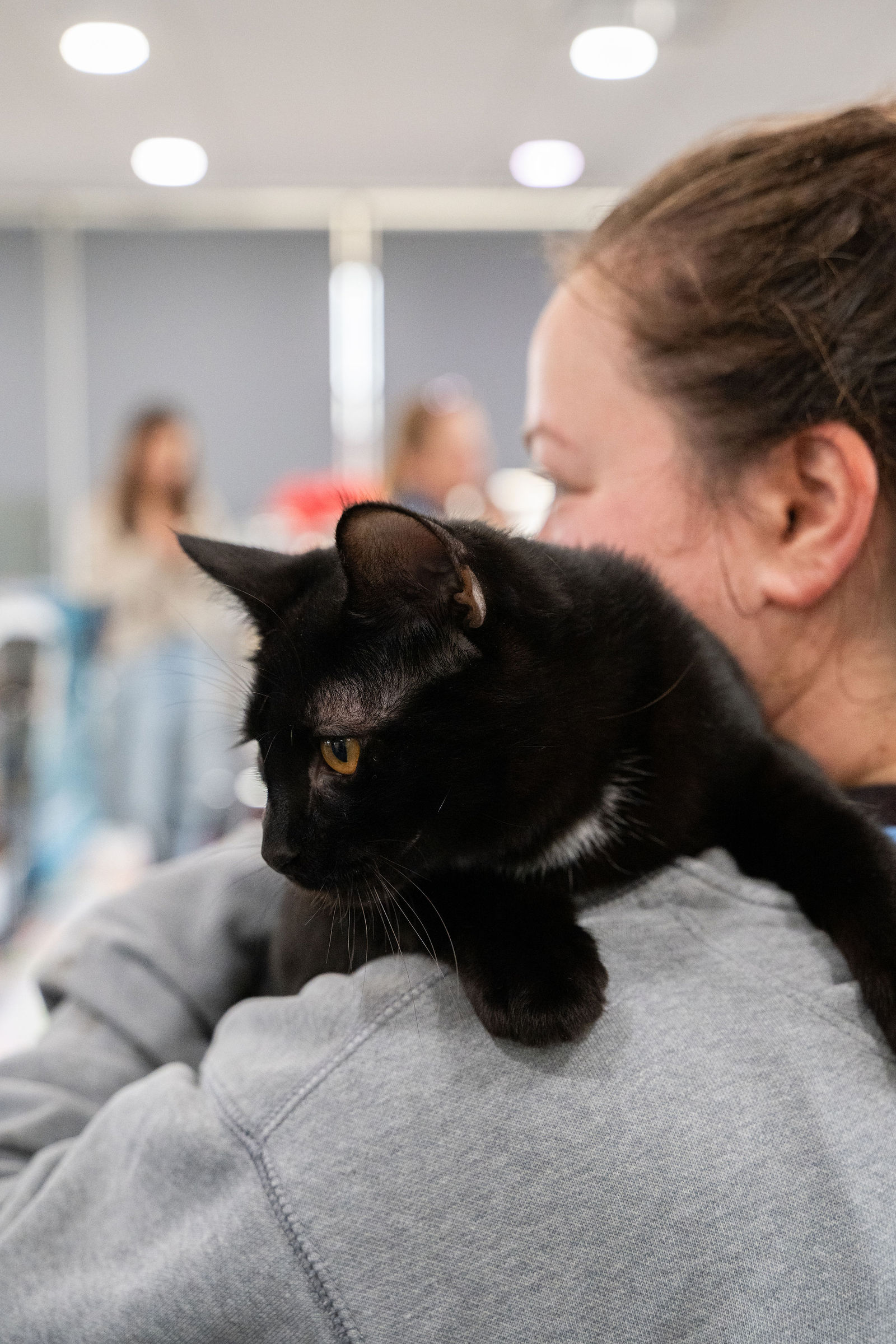 Tips & Tails TNR Adoption Event 73