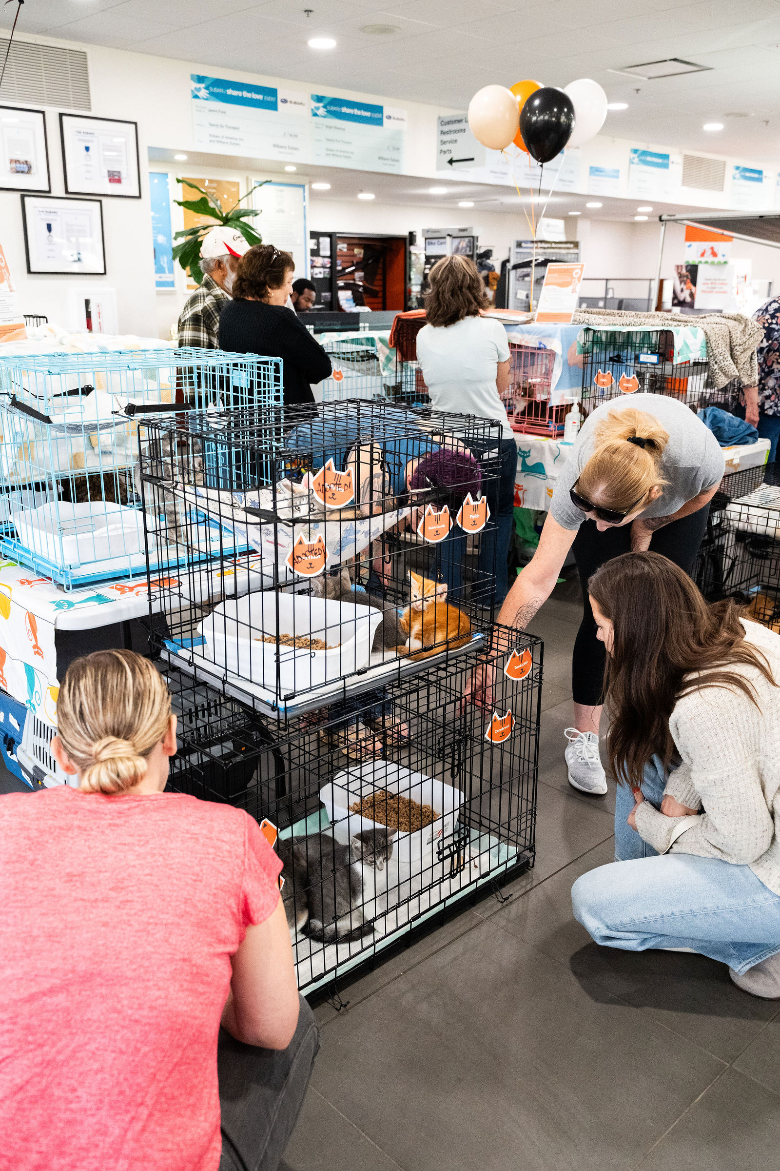 Tips & Tails TNR Adoption Event 14