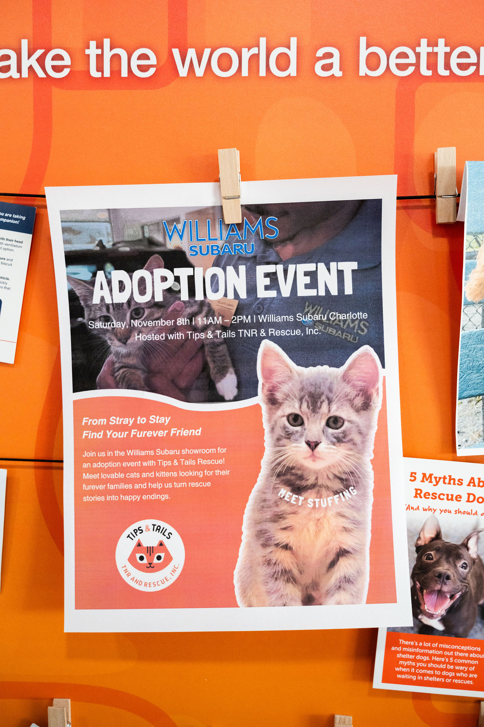 Tips & Tails TNR Adoption Event 83
