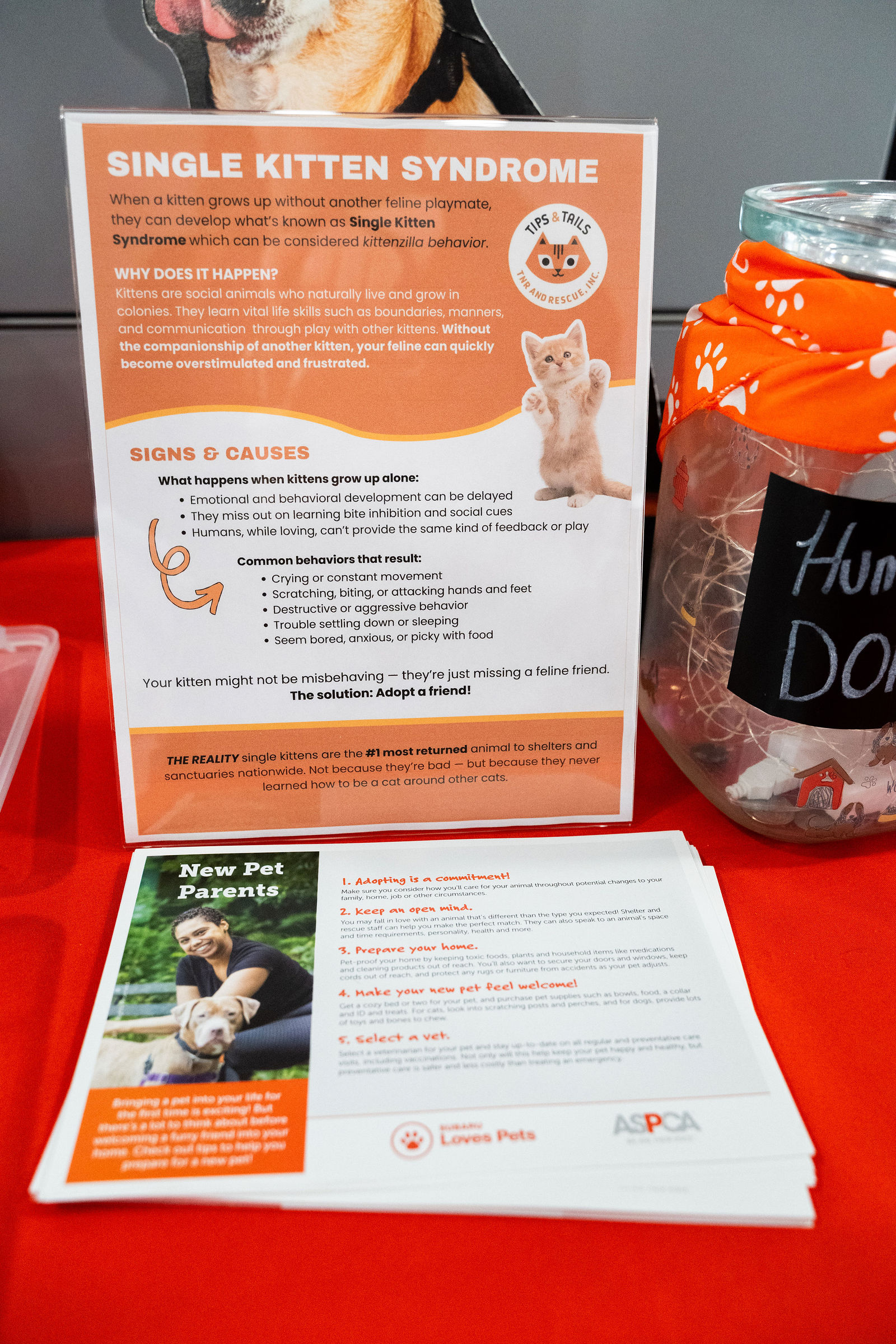 Tips & Tails TNR Adoption Event 39