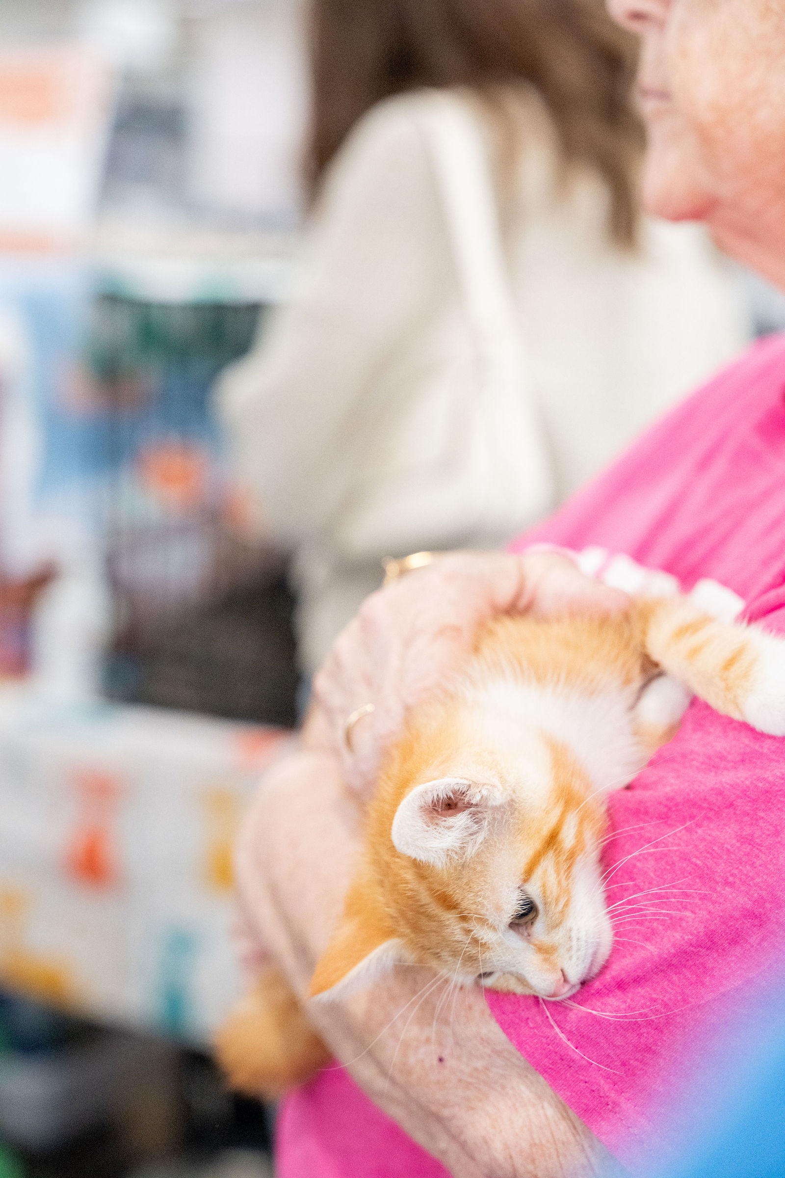Tips & Tails TNR Adoption Event 64