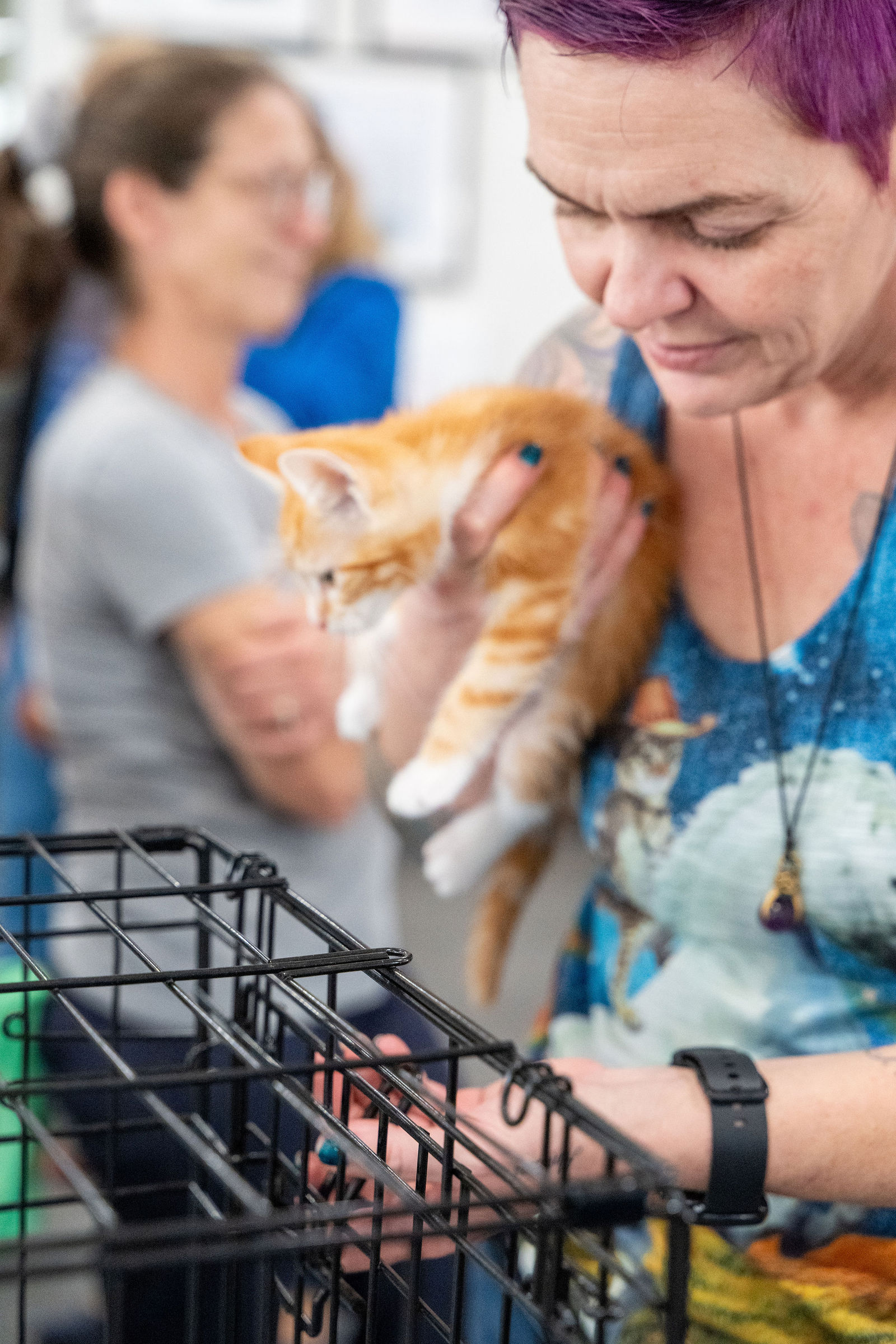 Tips & Tails TNR Adoption Event 66