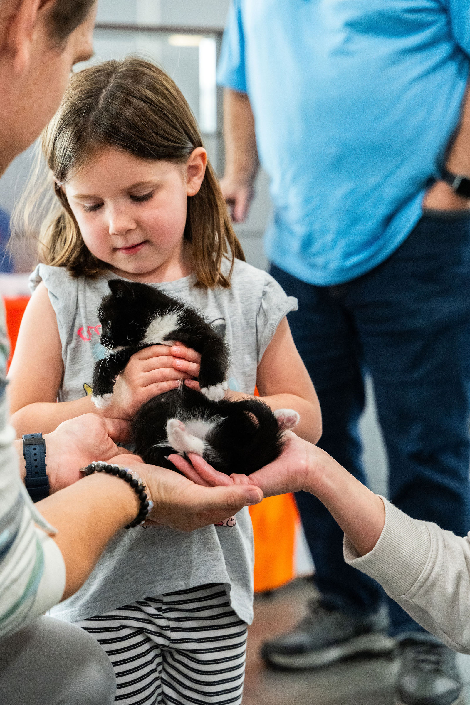 Tips & Tails TNR Adoption Event 42