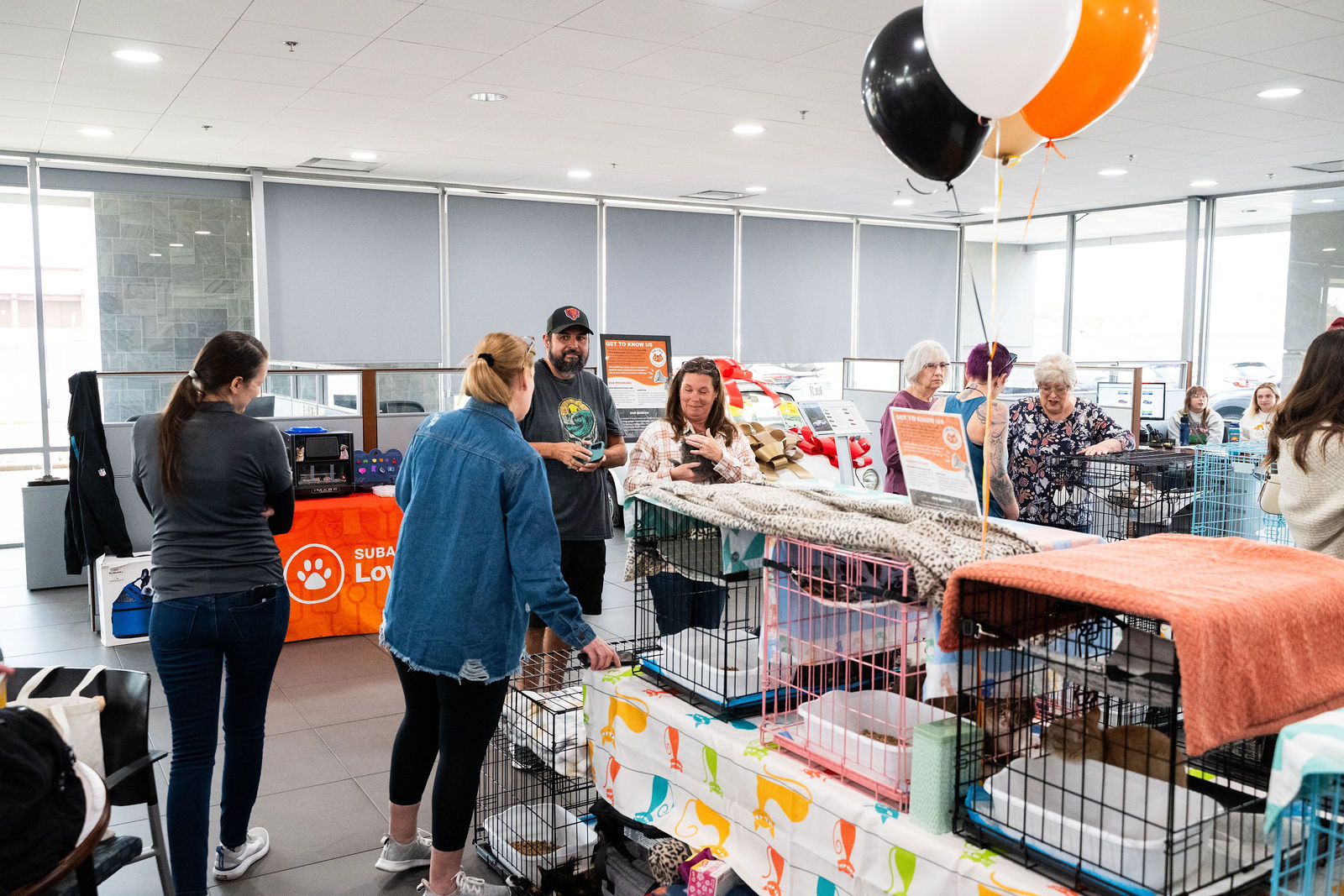 Tips & Tails TNR Adoption Event 36