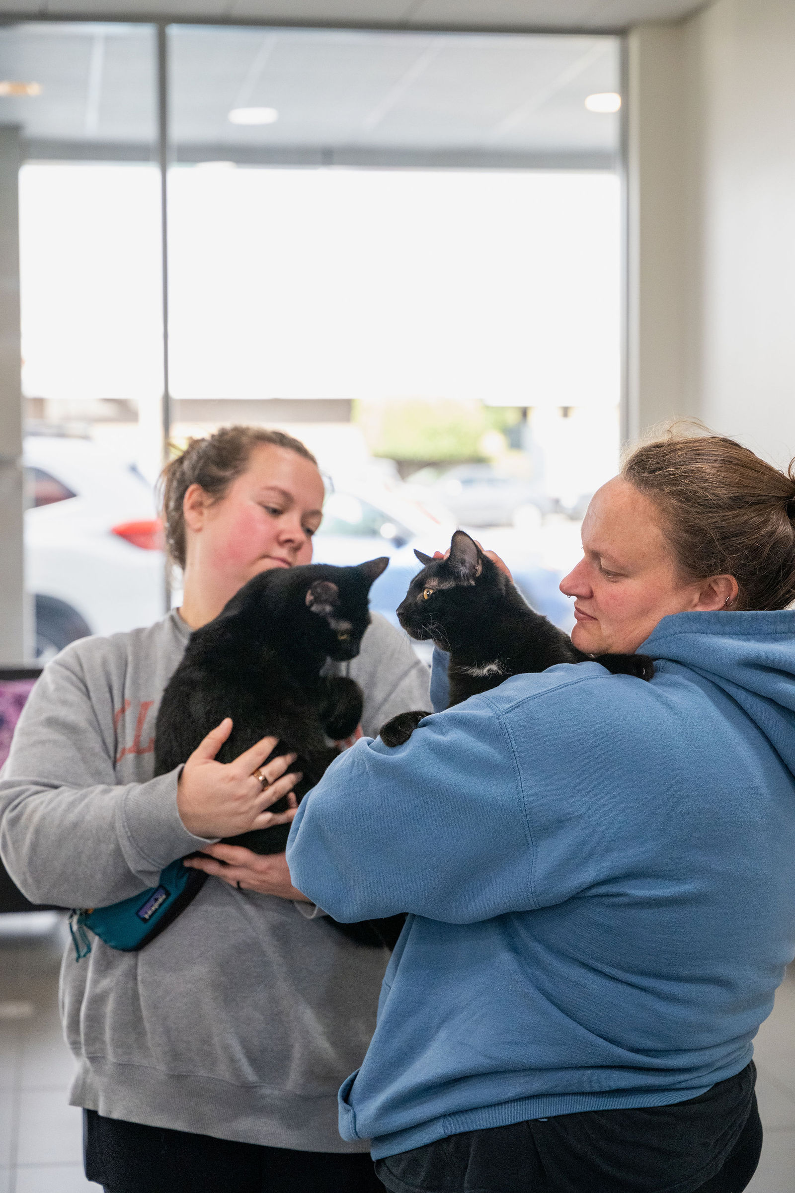 Tips & Tails TNR Adoption Event 78