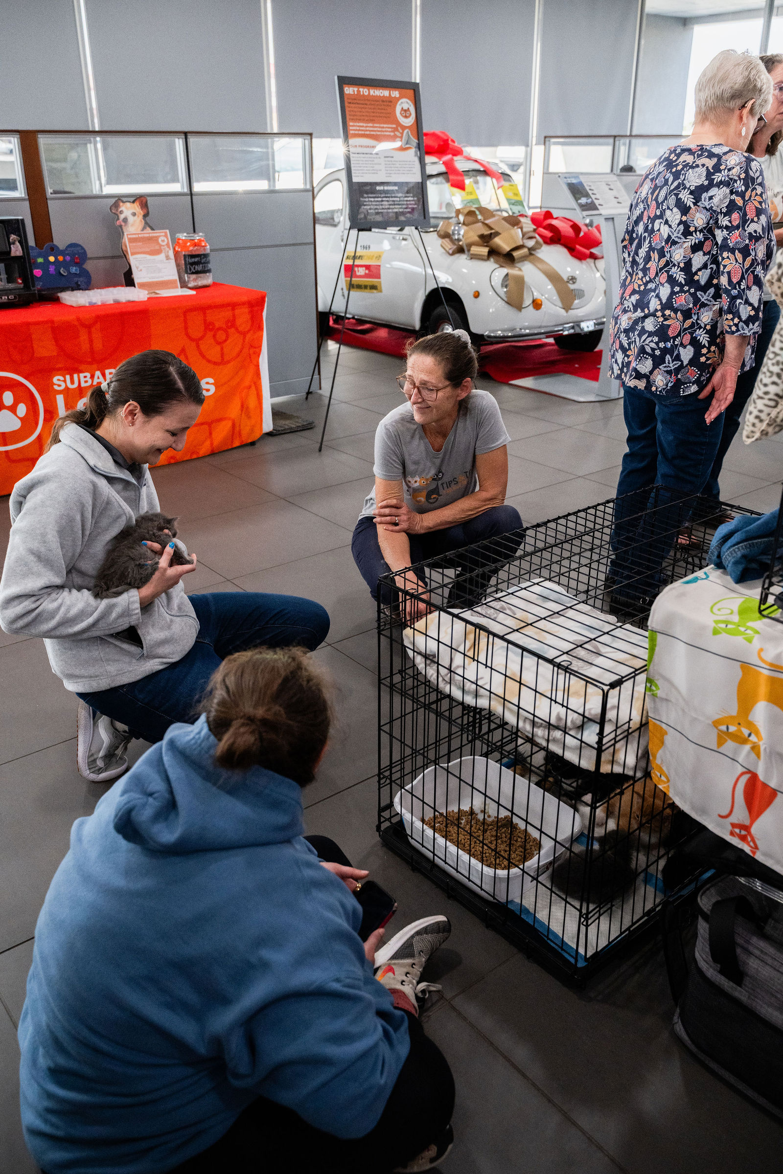 Tips & Tails TNR Adoption Event 86