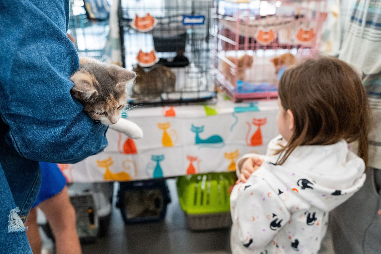 Tips & Tails TNR Adoption Event 53