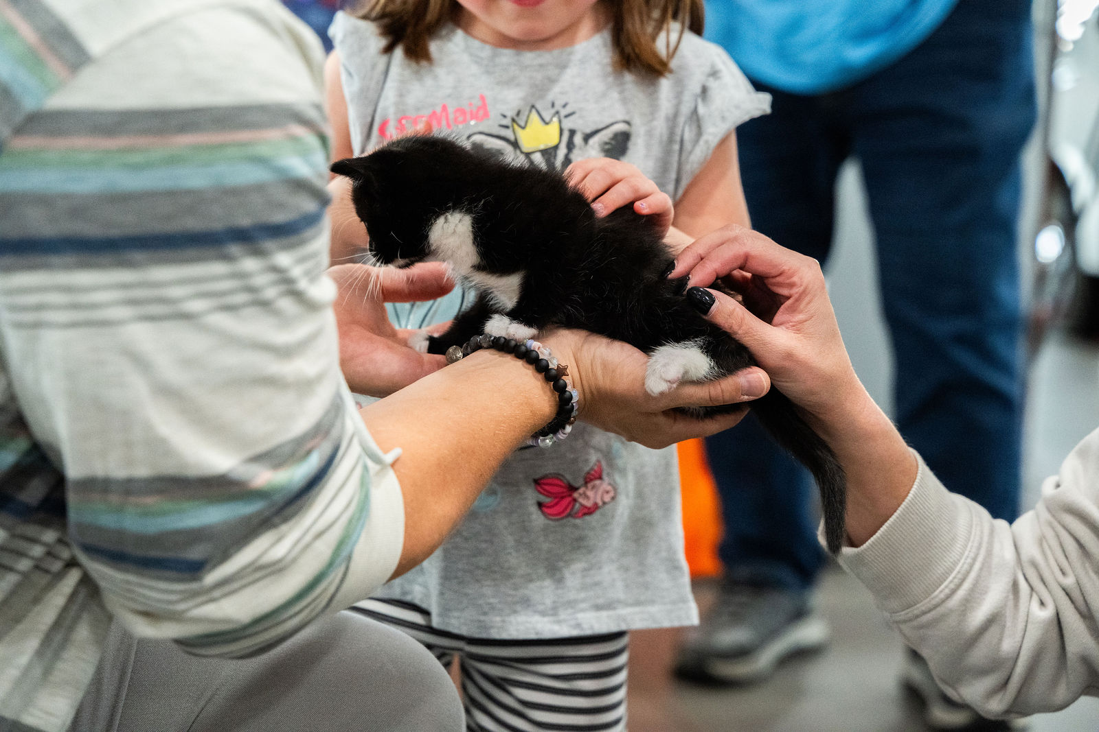 Tips & Tails TNR Adoption Event 43