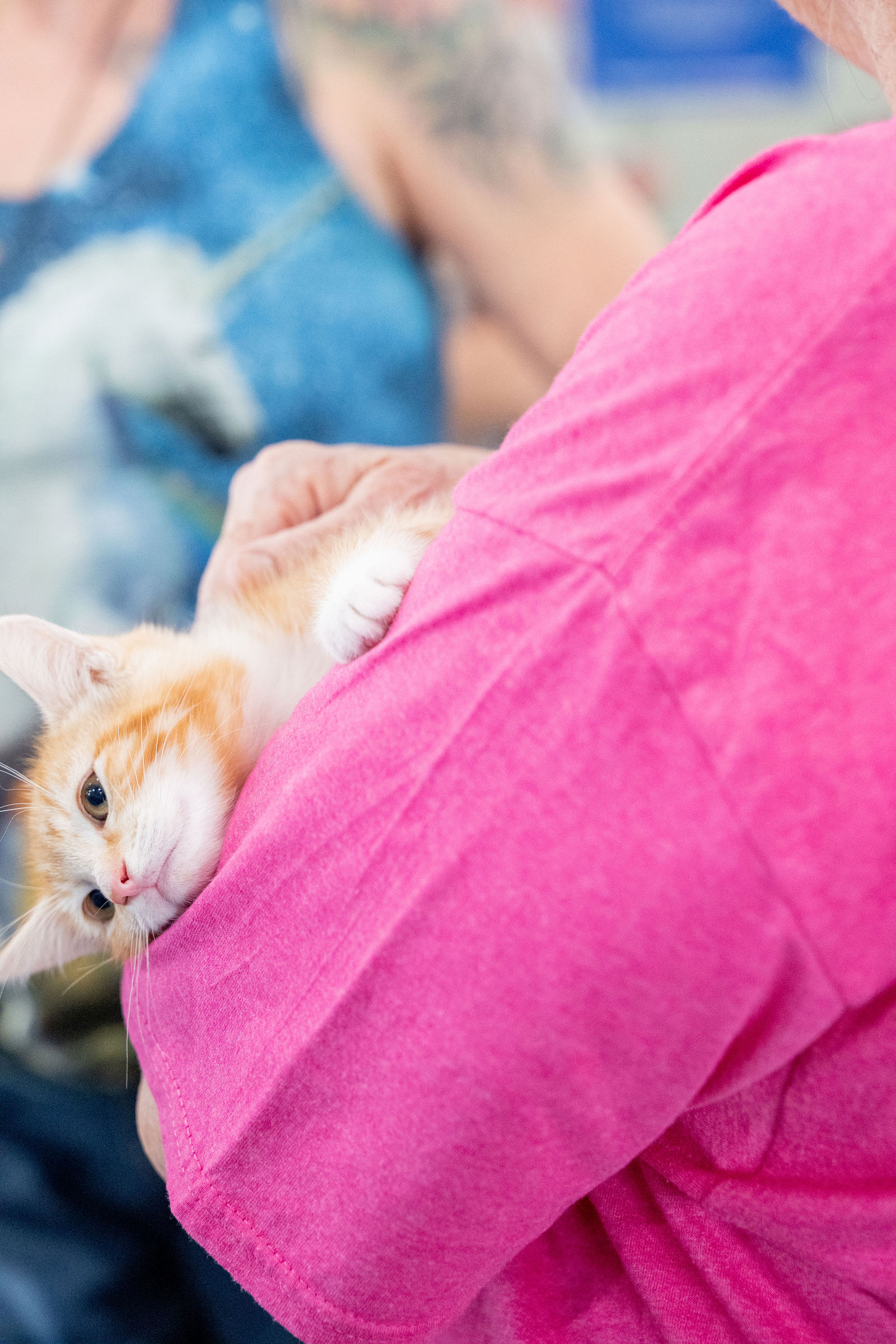 Tips & Tails TNR Adoption Event 63