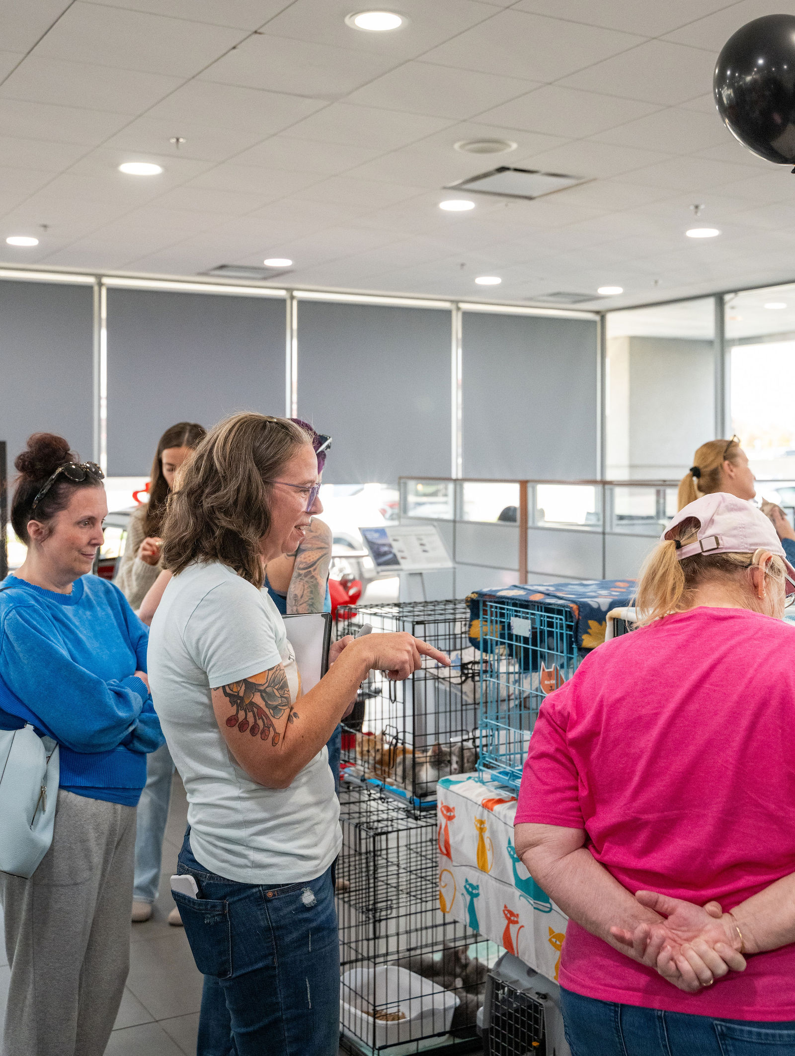 Tips & Tails TNR Adoption Event 77
