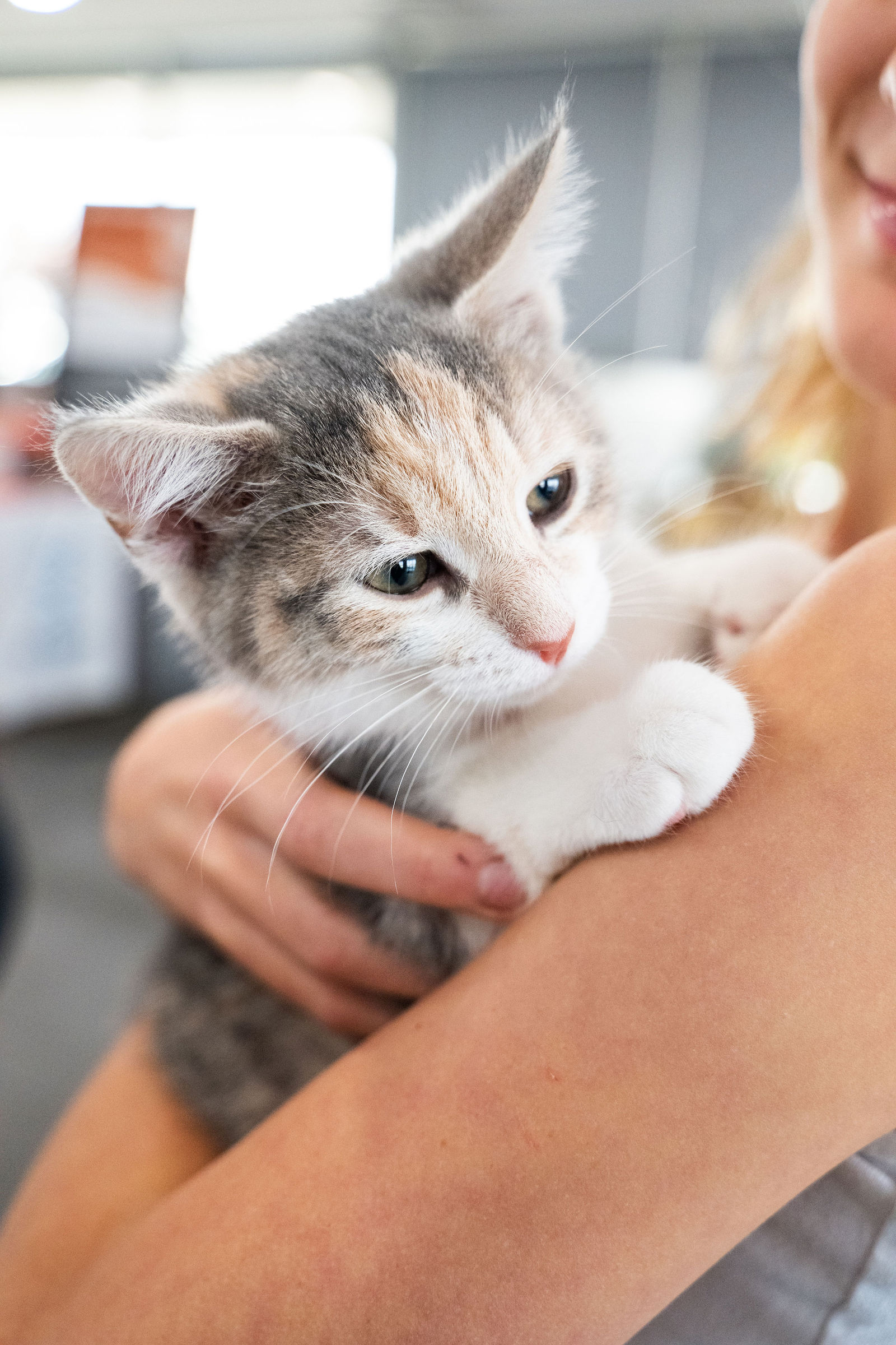 Tips & Tails TNR Adoption Event 19
