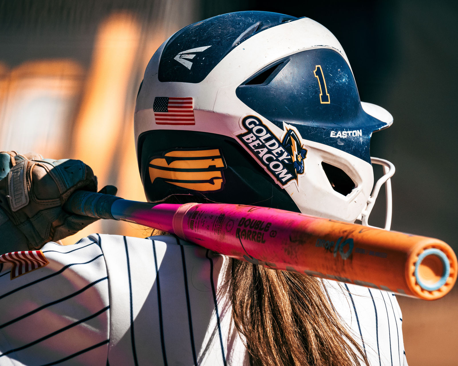 Eagles sports action photography Central Coast