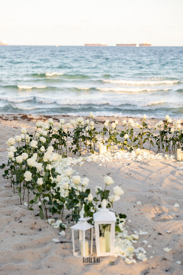 Colin Leverette's Proposal