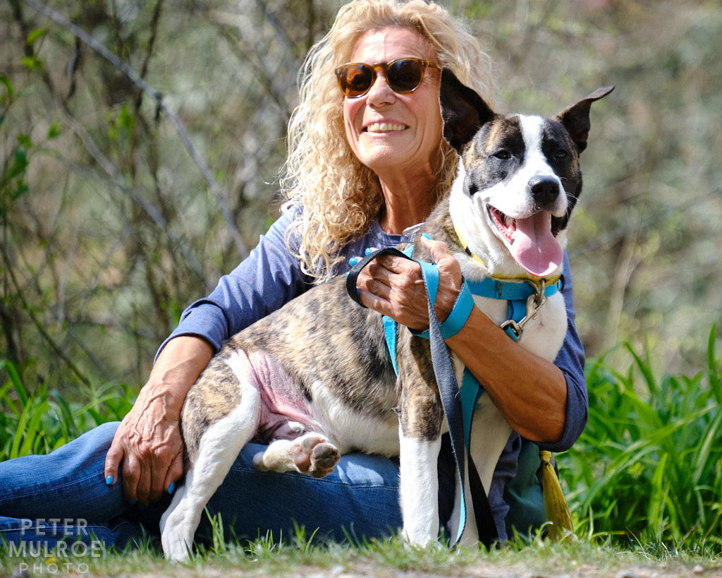 Asheville Humane Society by Peter Mulroe Photography