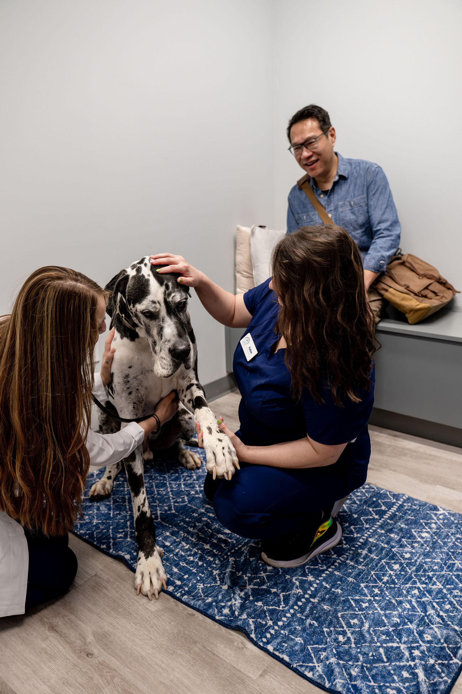 Charlotte Companion Animal Hospital 86