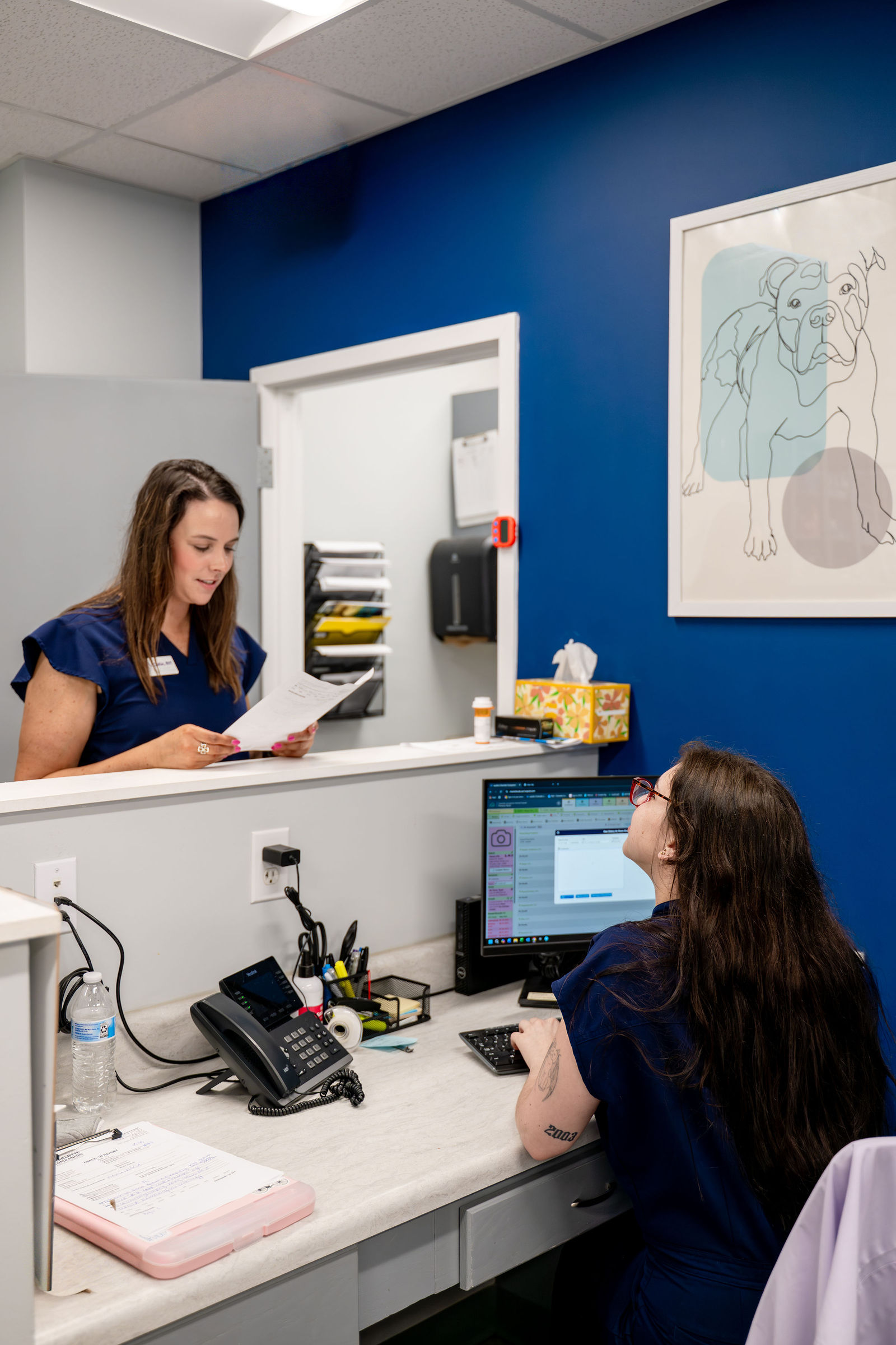 Charlotte Companion Animal Hospital 92