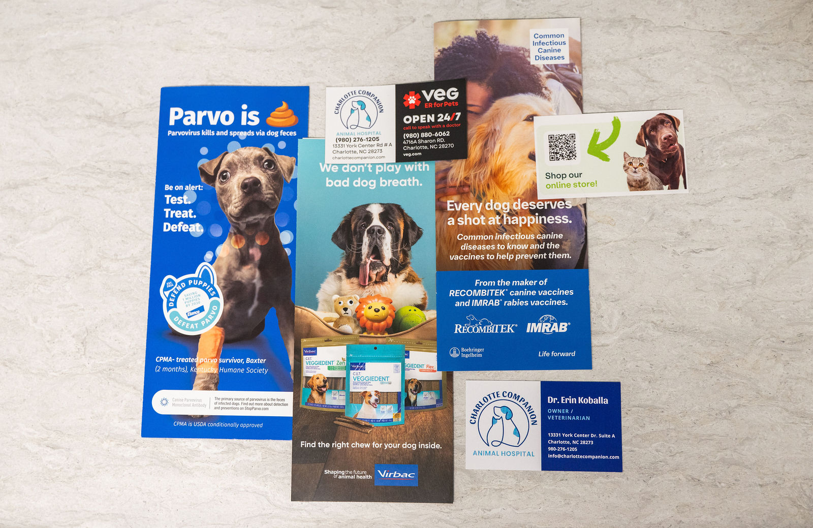 Charlotte Companion Animal Hospital 4