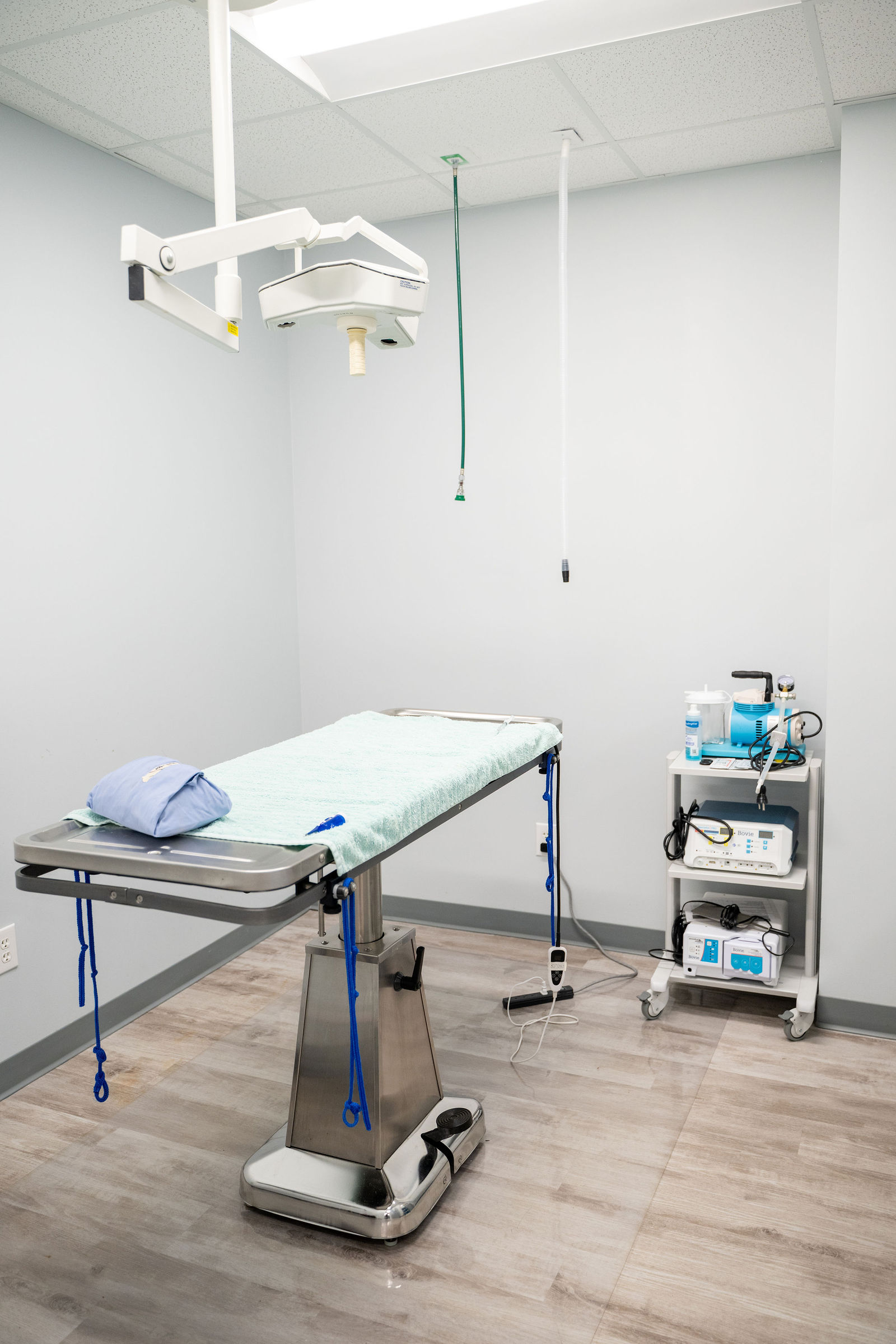 Charlotte Companion Animal Hospital 15