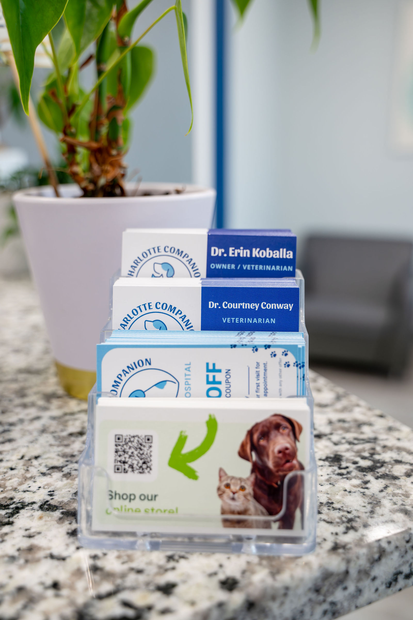 Charlotte Companion Animal Hospital 35