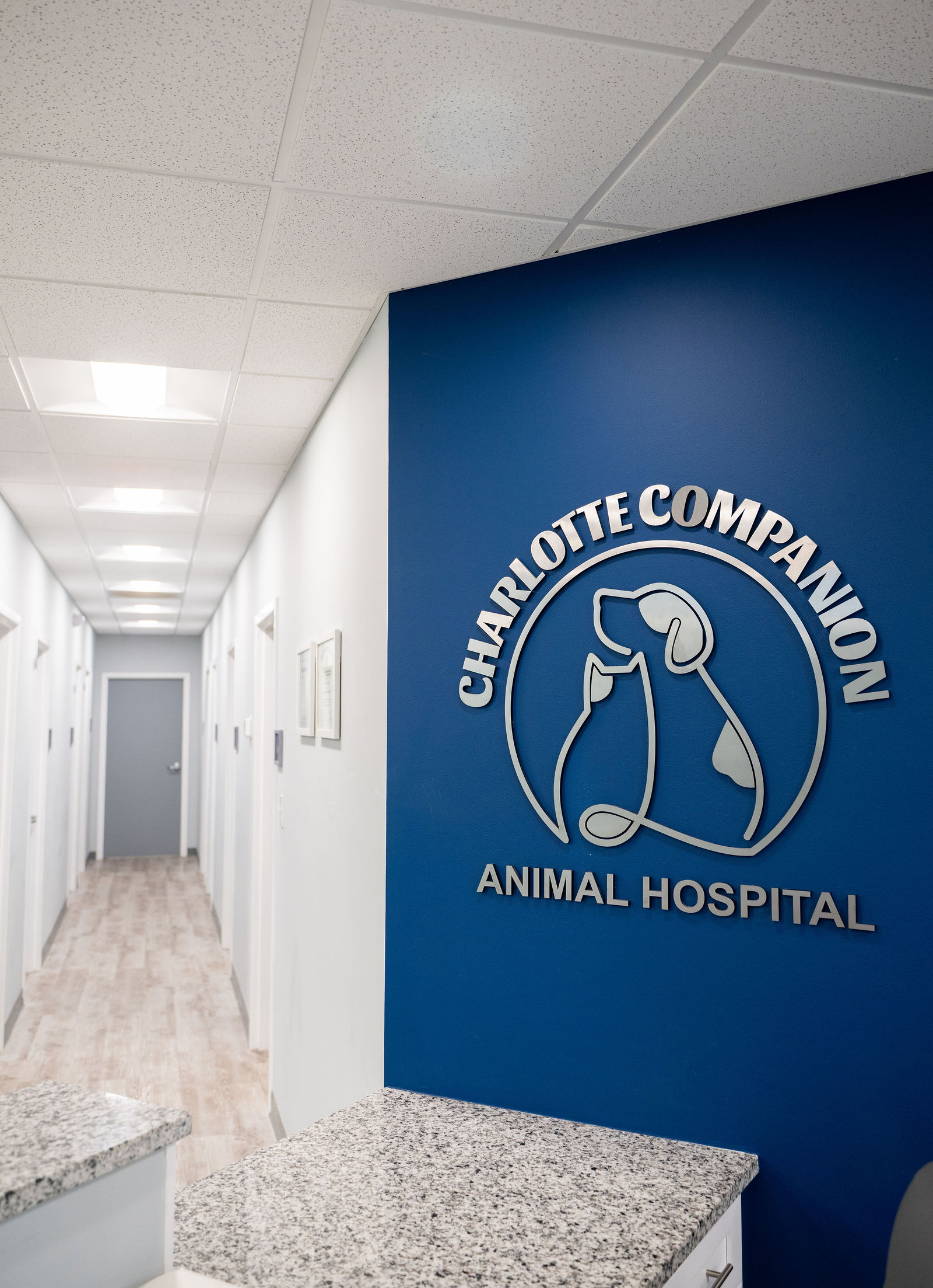 Charlotte Companion Animal Hospital 2
