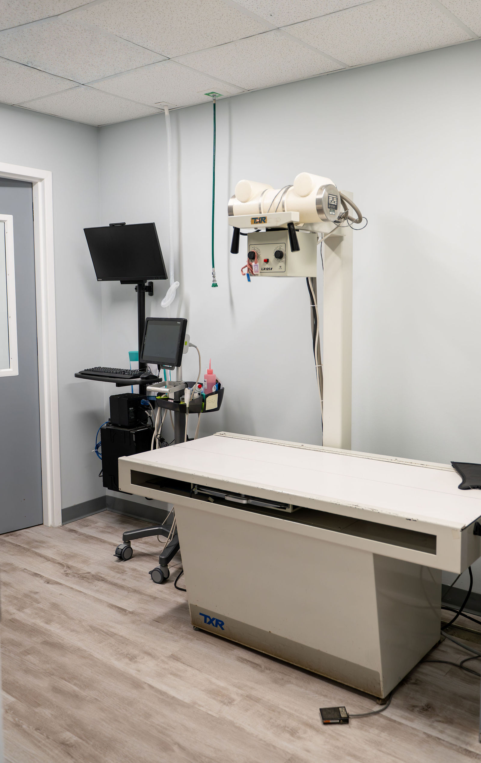 Charlotte Companion Animal Hospital 17