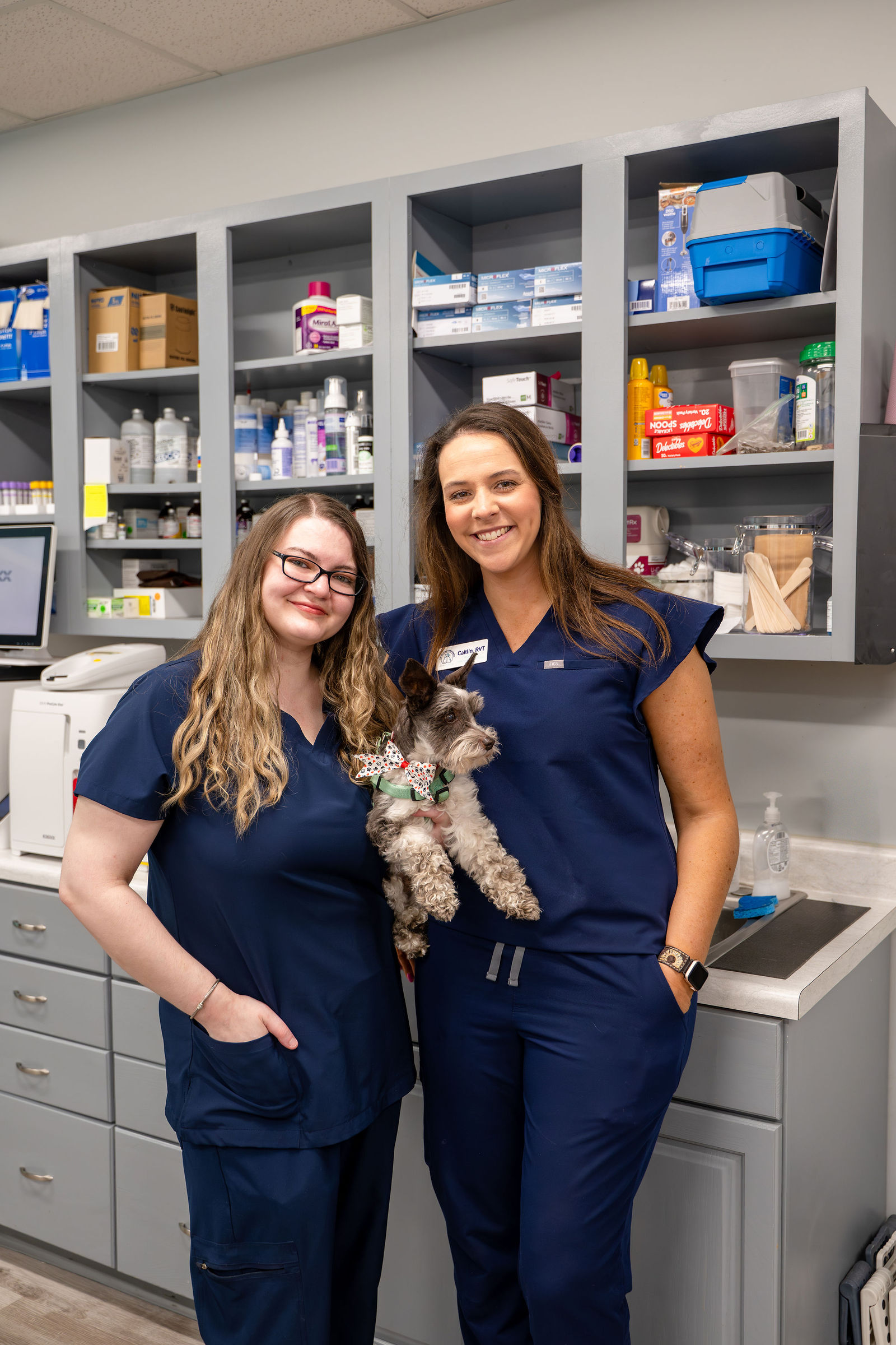 Charlotte Companion Animal Hospital 18