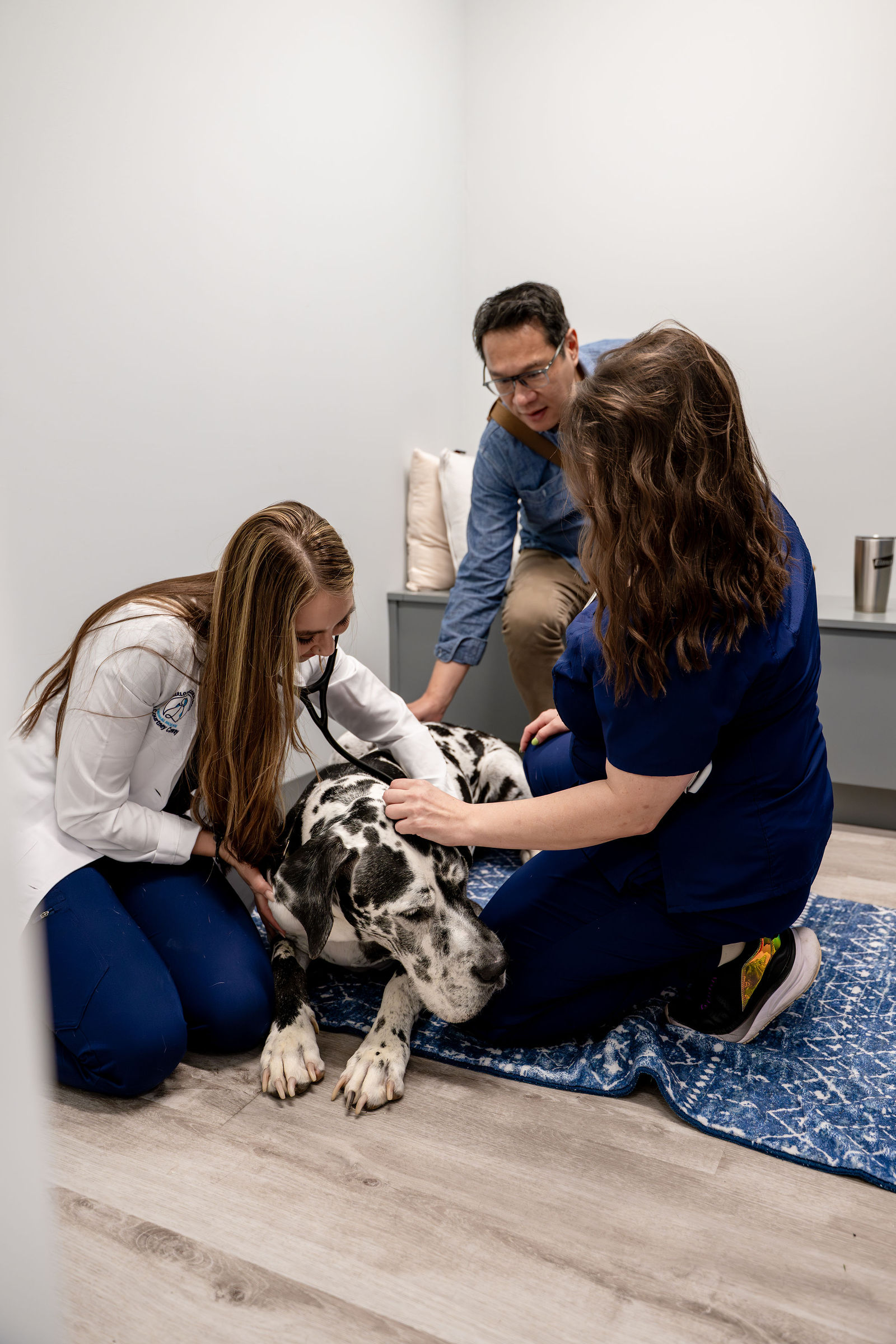 Charlotte Companion Animal Hospital 87