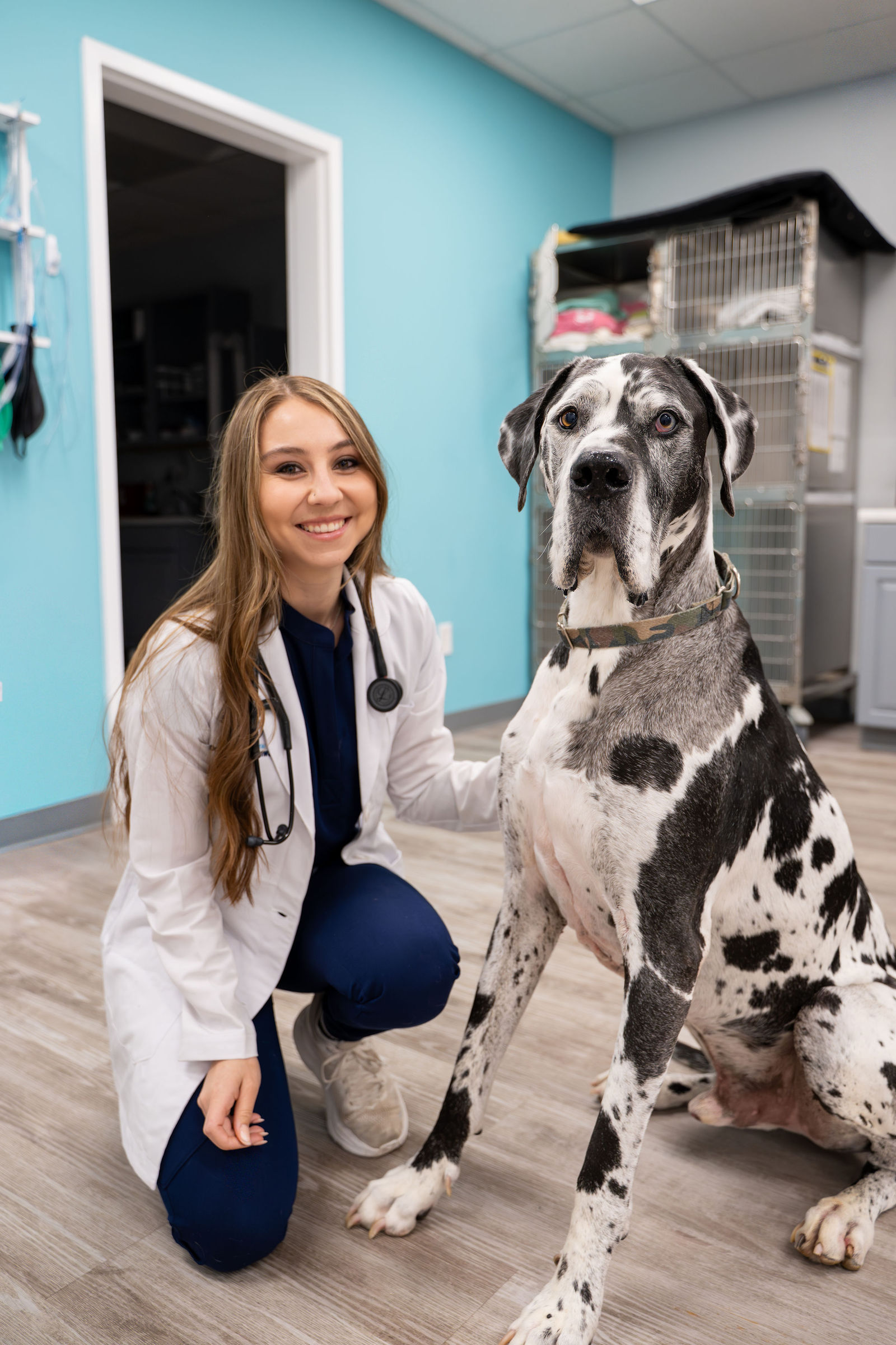 Charlotte Companion Animal Hospital 19