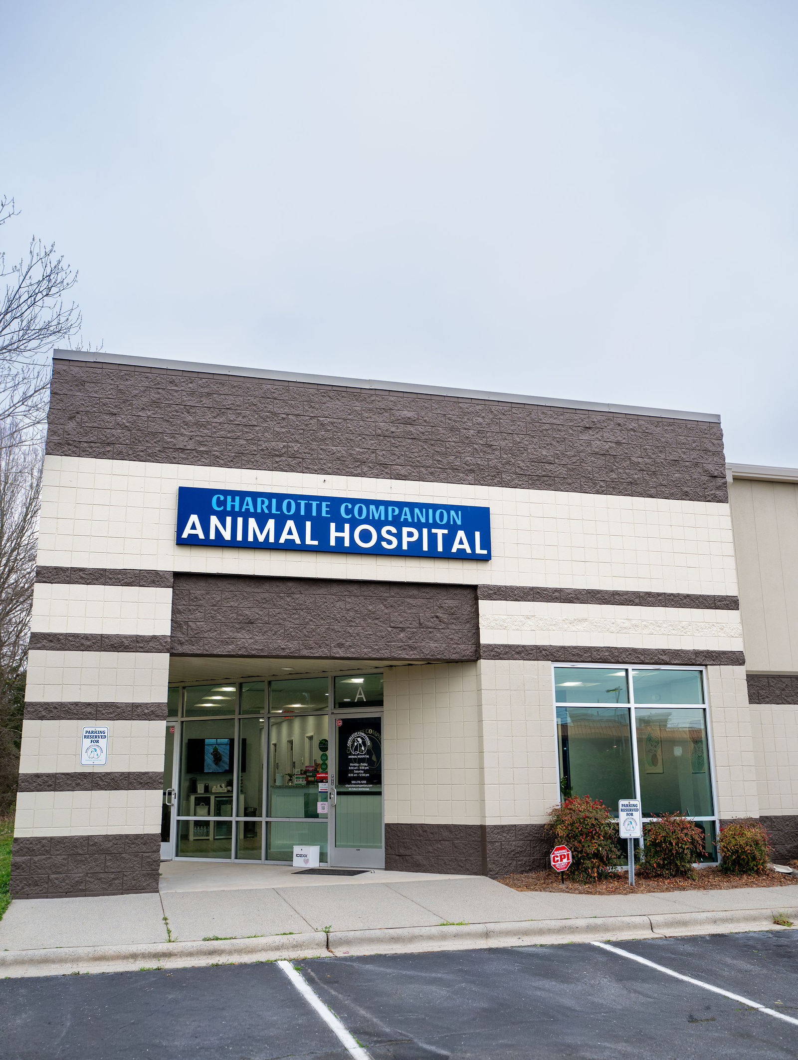 Charlotte Companion Animal Hospital 24