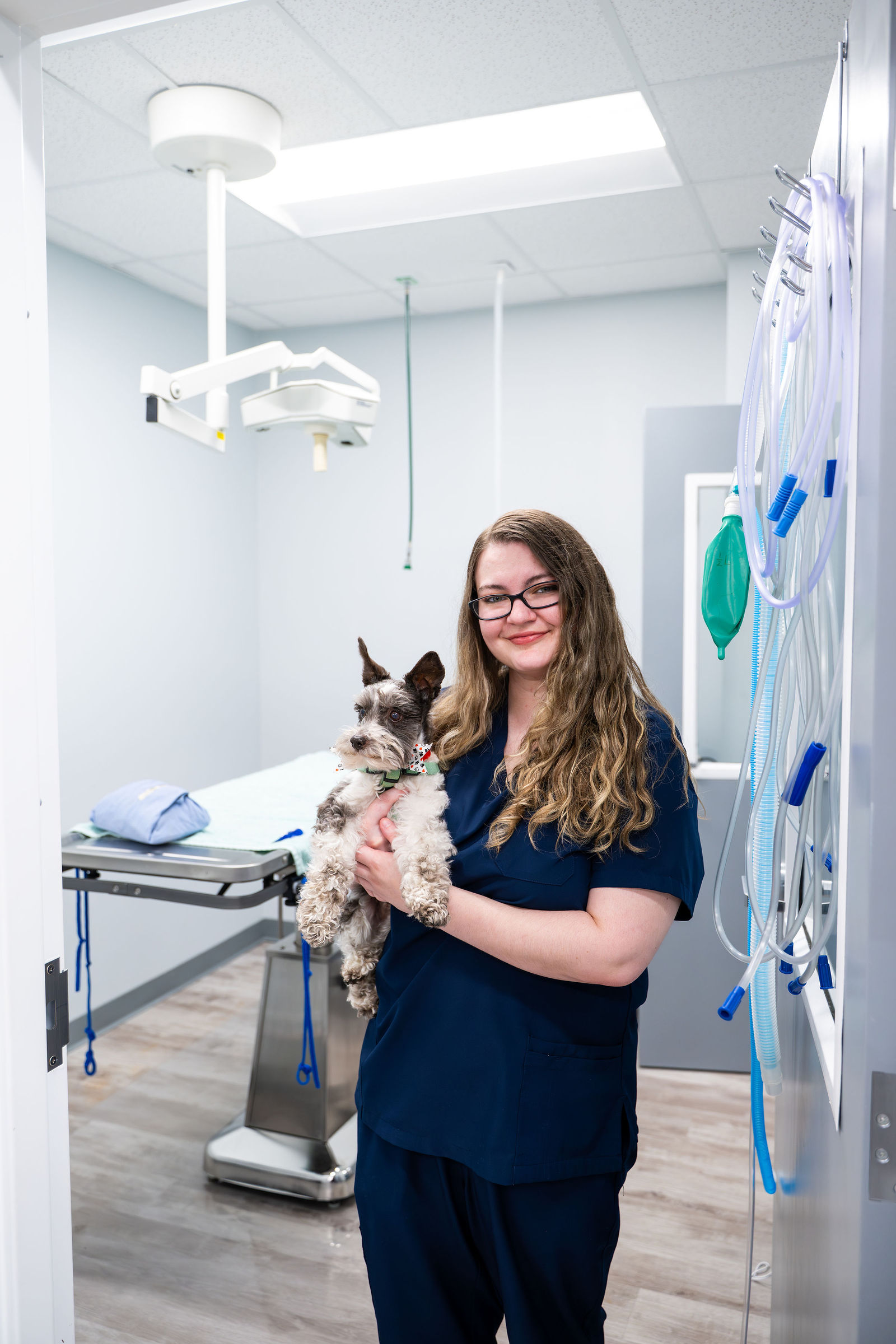 Charlotte Companion Animal Hospital 14