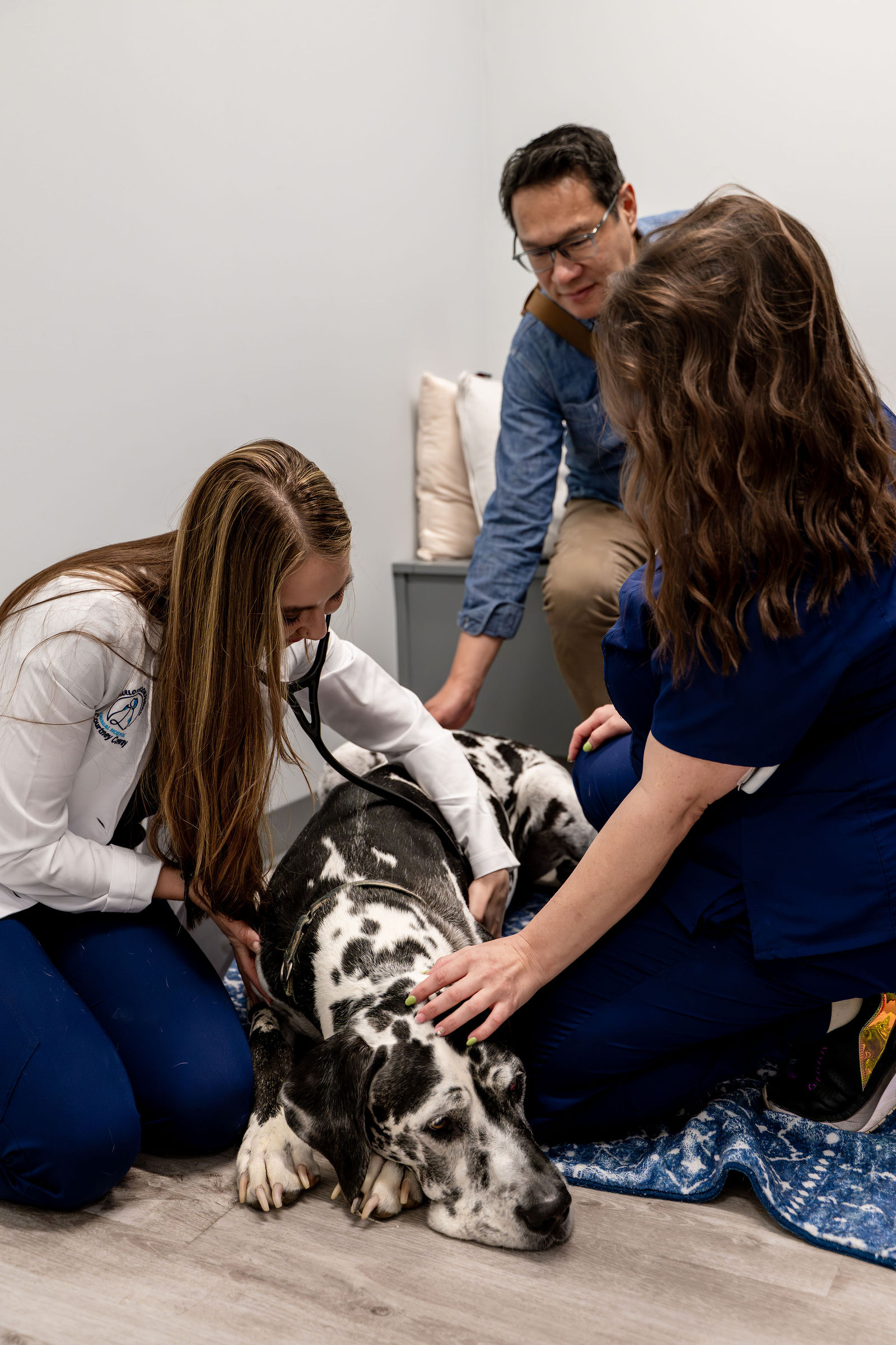 Charlotte Companion Animal Hospital 88