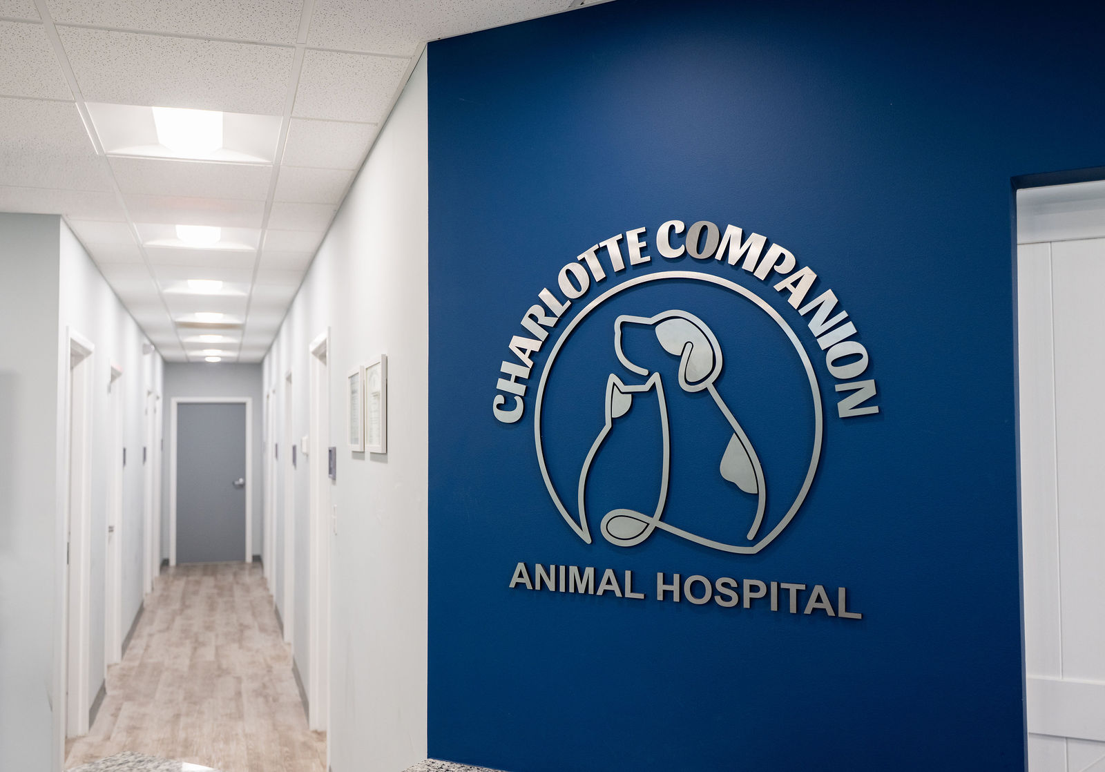 Charlotte Companion Animal Hospital 3