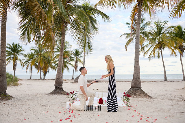 Brody Barlow's Proposal