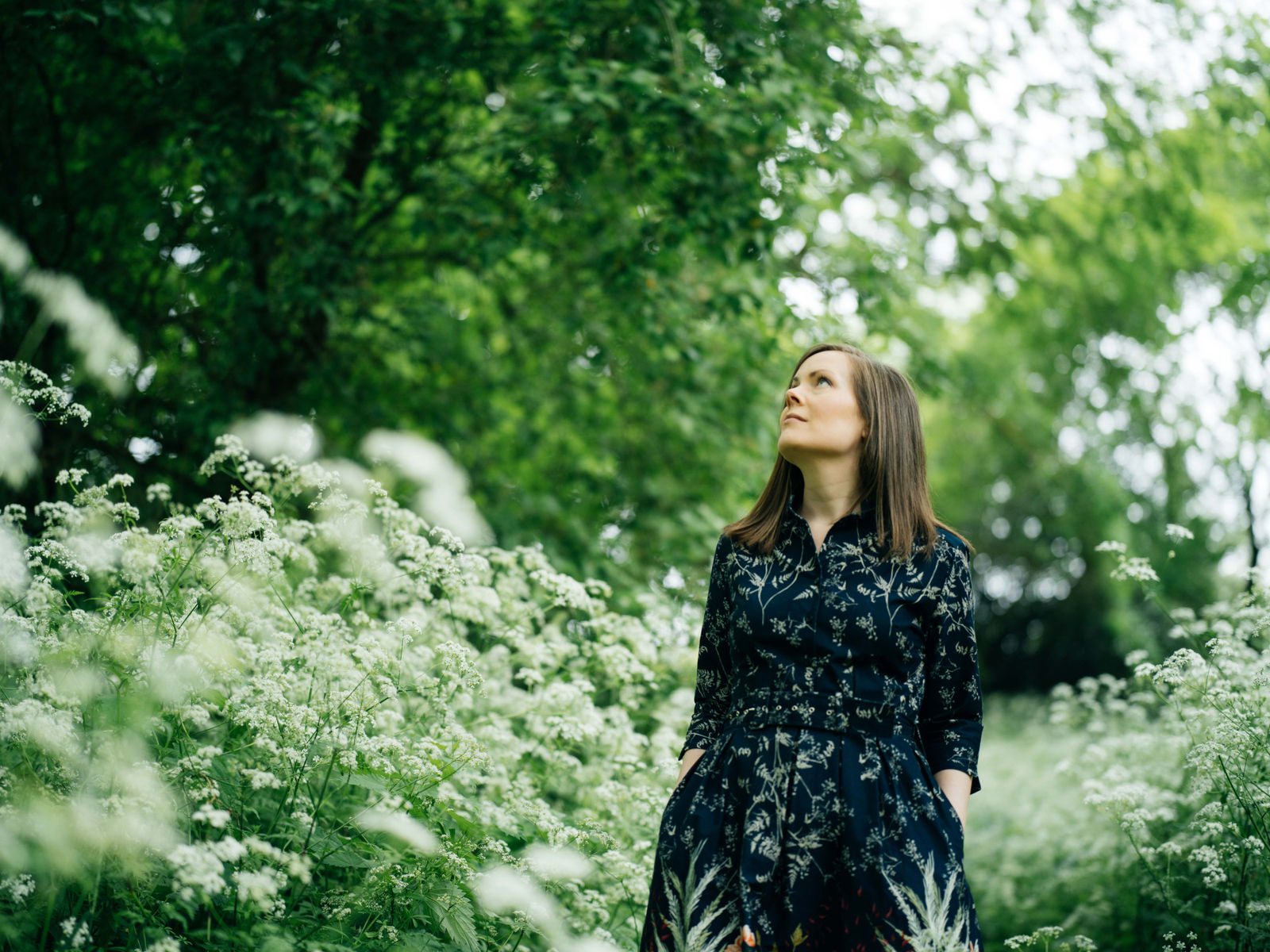 gallery.danielcook.com