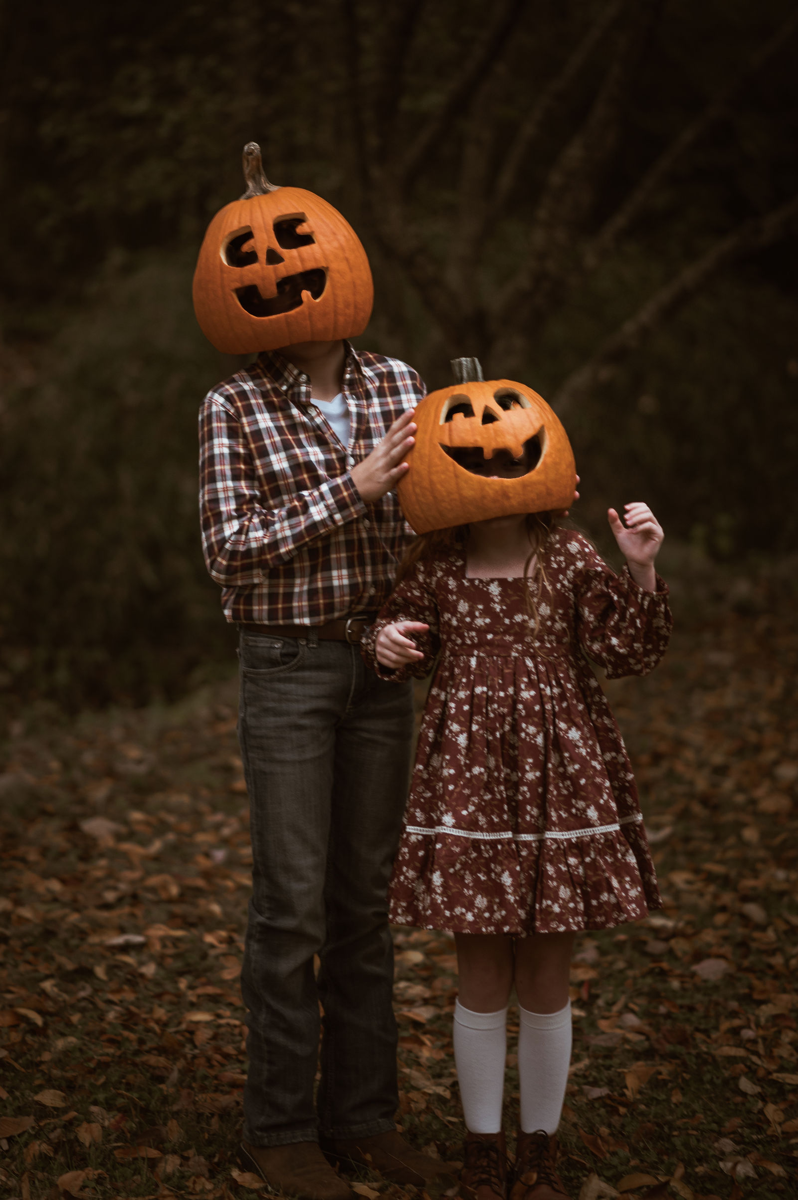 Pumpkins by Candy Hurst Images