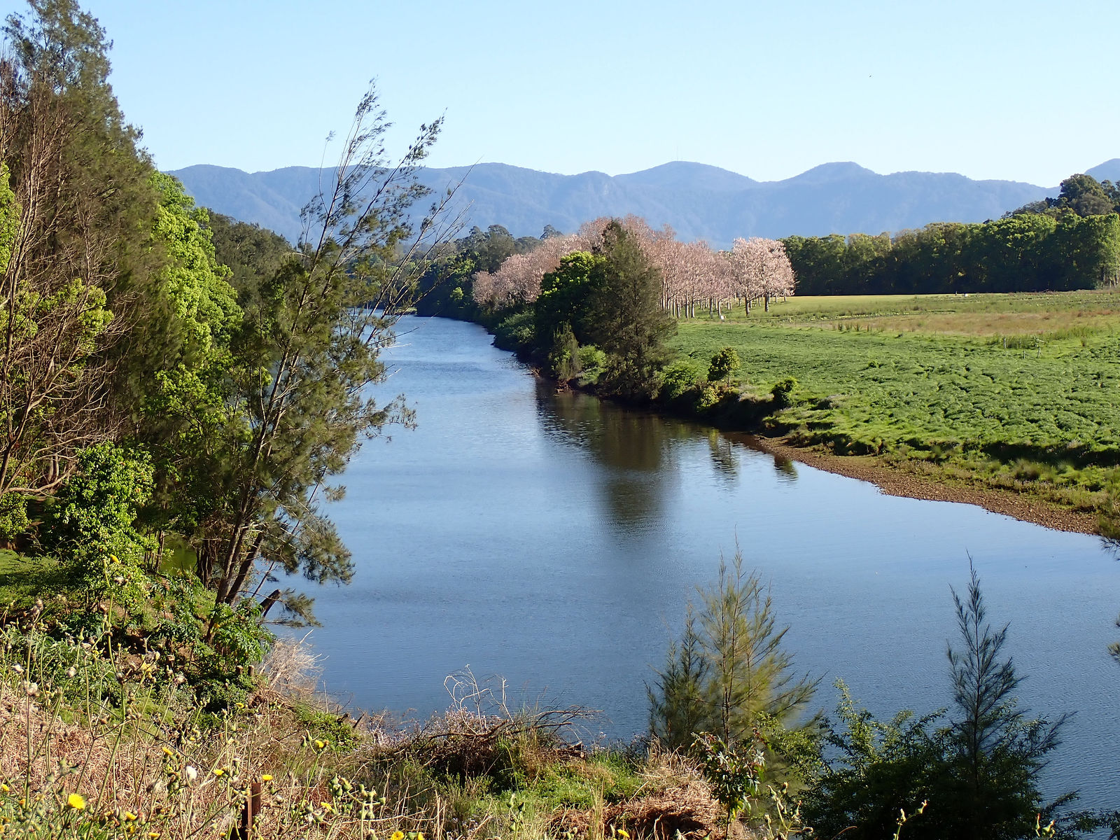 BellingerRiverBellingenNSW2024(6).JPG