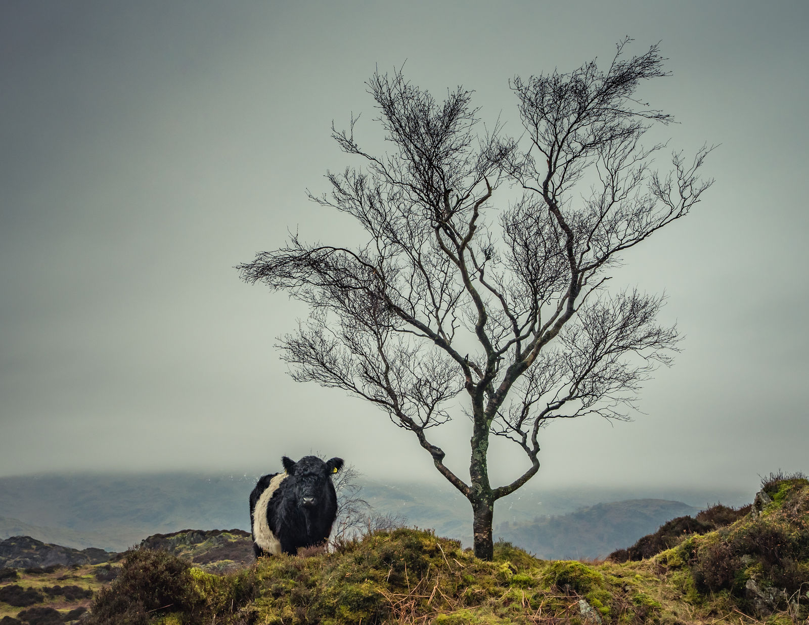 Forty farms Print Gallery by Amy Bateman Photography