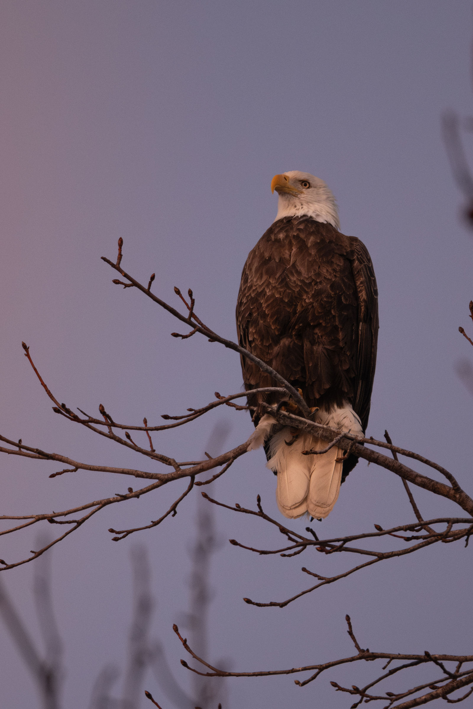 DSCF3765-2.jpg
